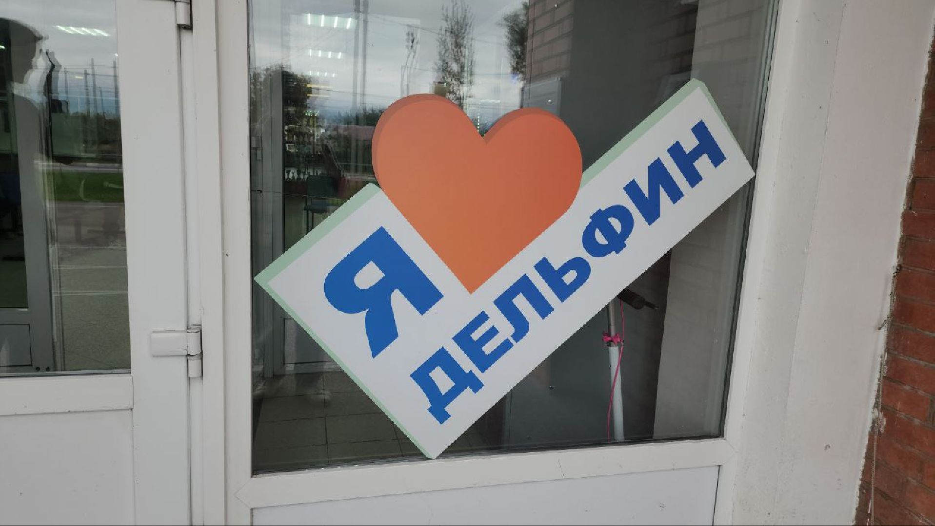 луховицы, спорт, плавание,