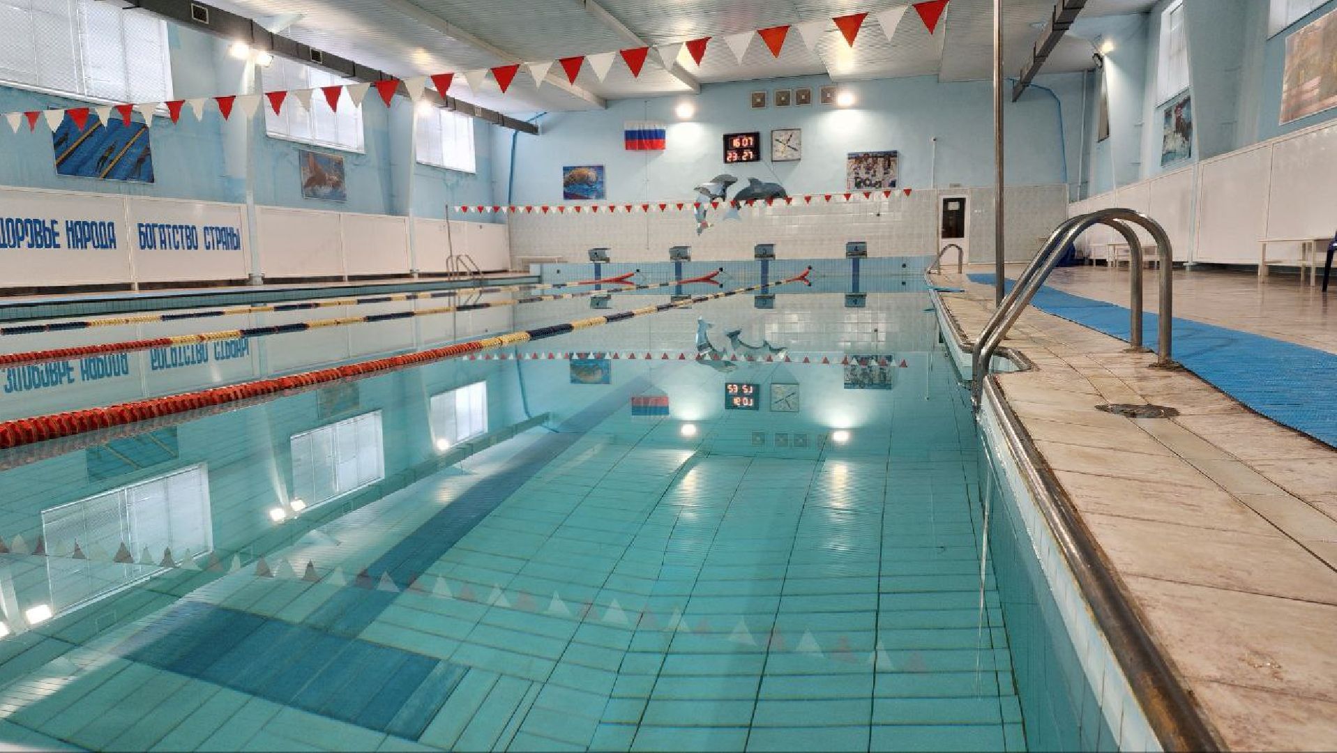 луховицы, спорт, плавание,