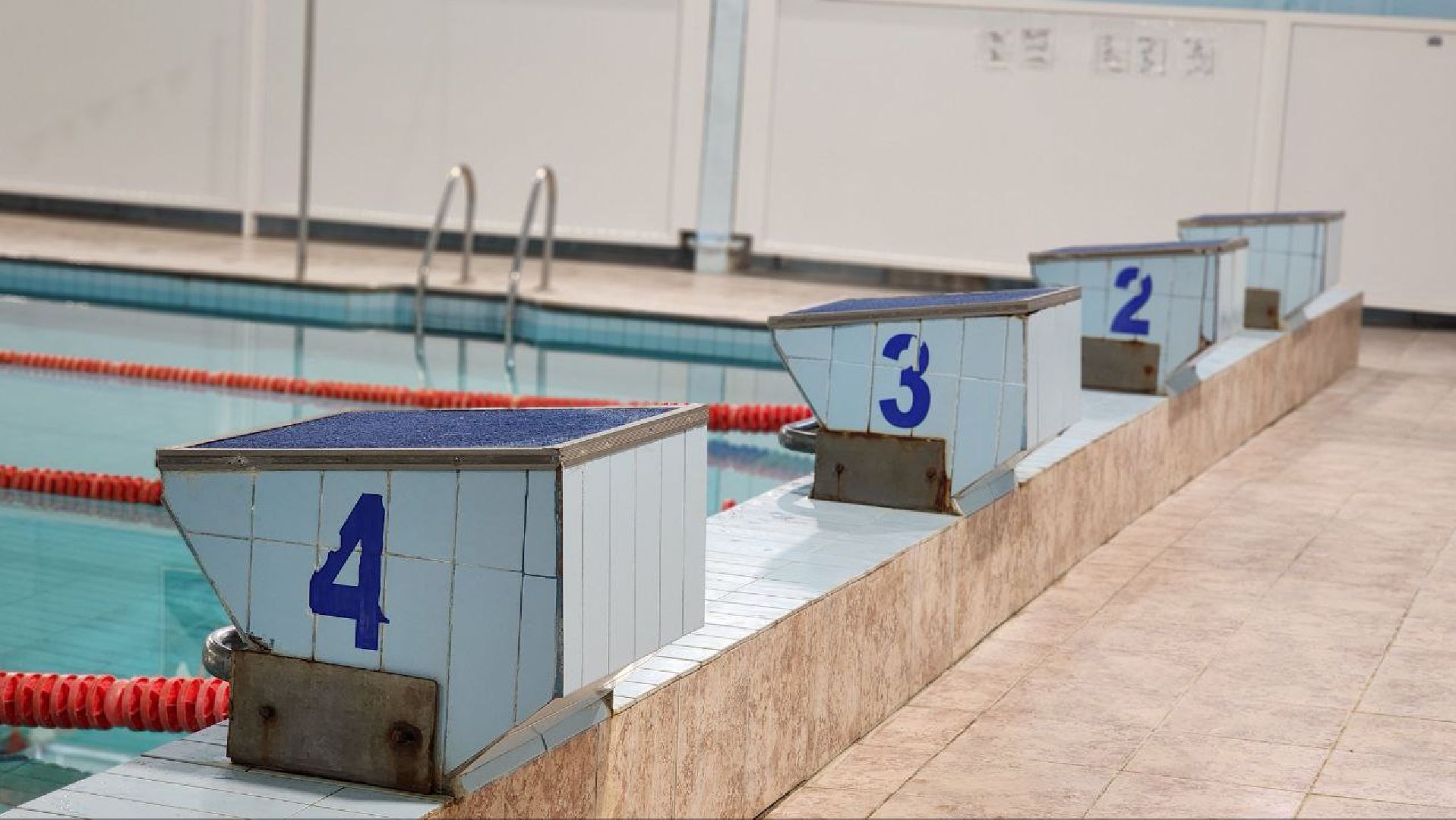 луховицы, спорт, плавание,