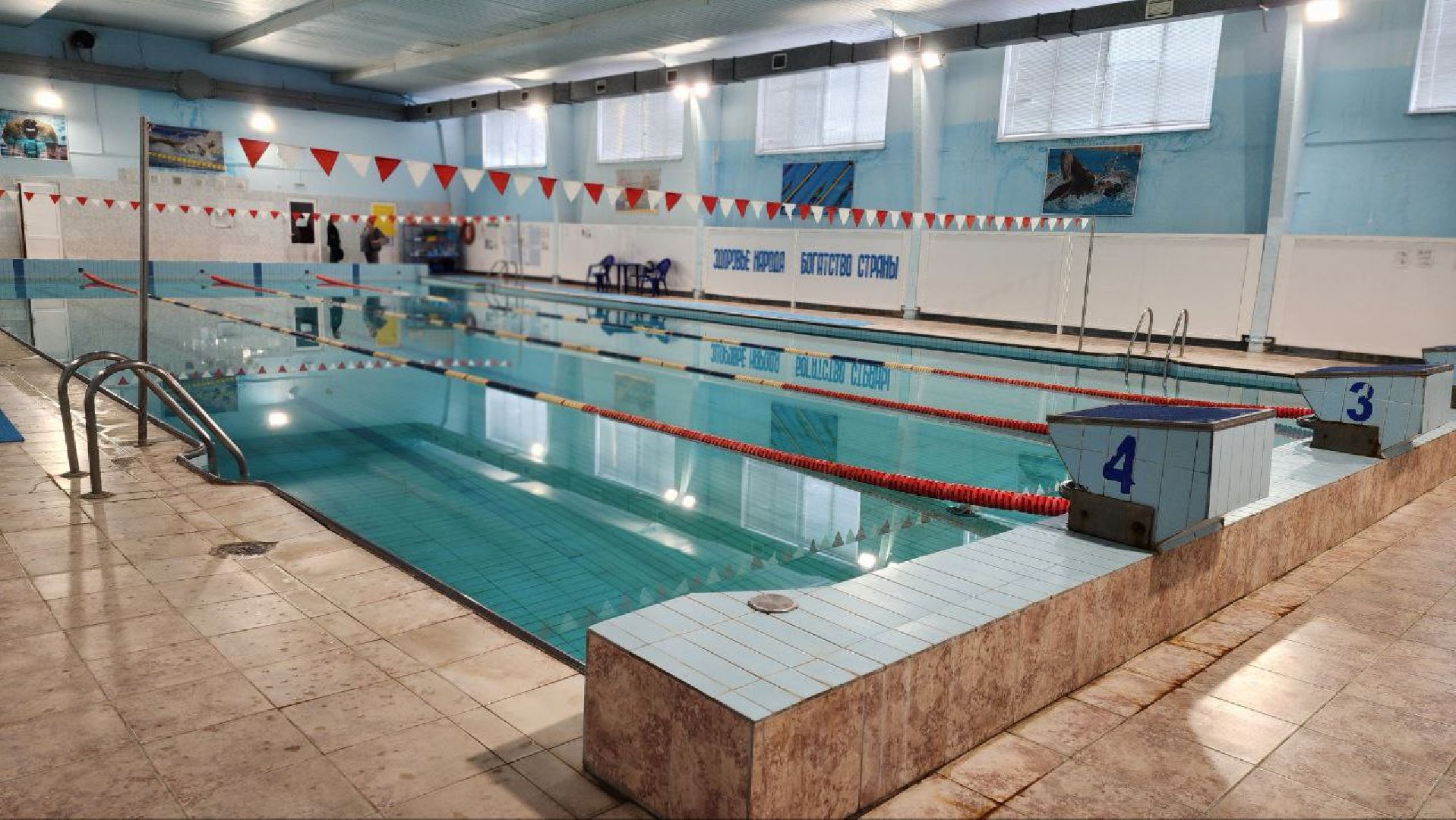 луховицы, спорт, плавание,