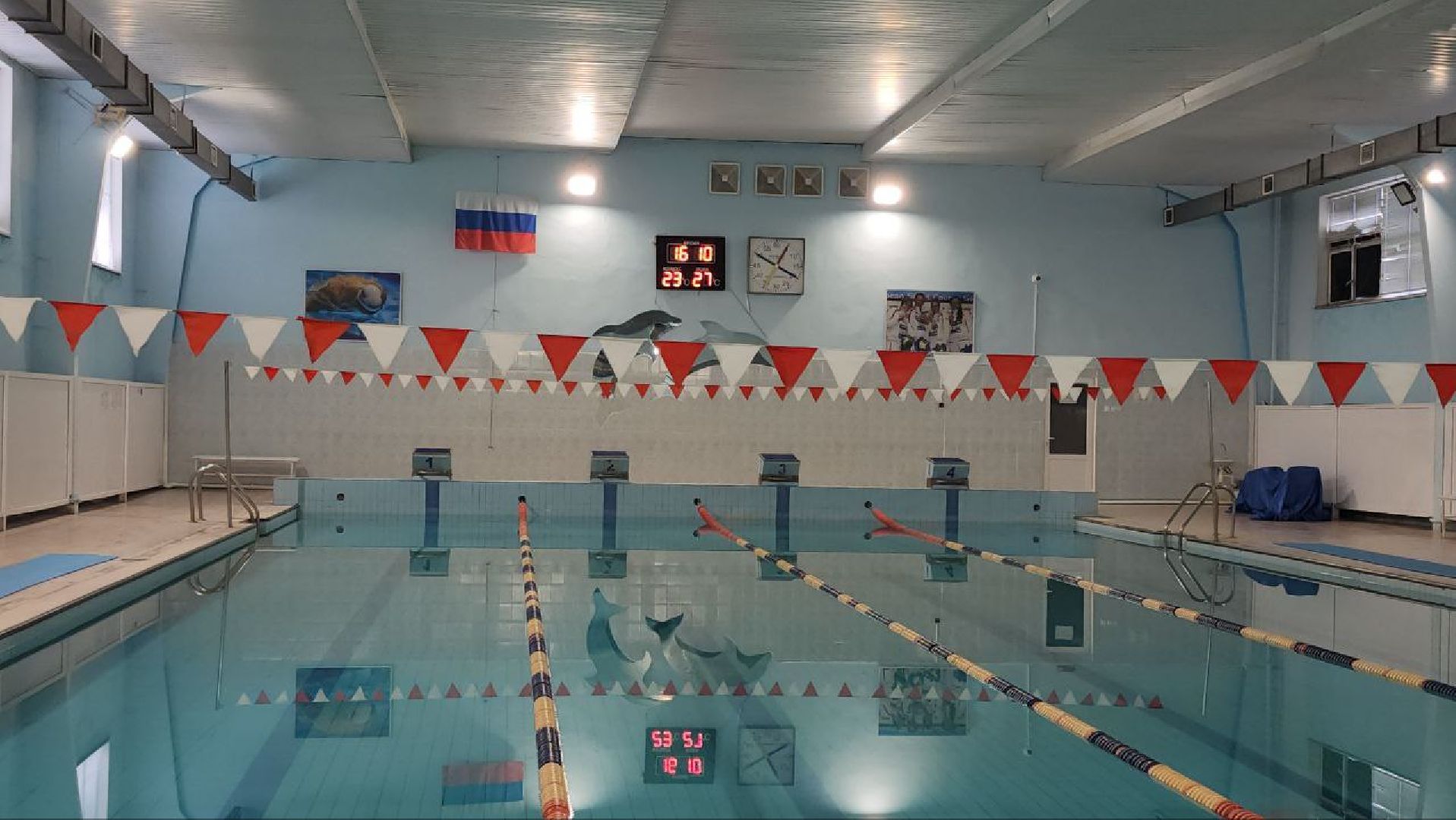 луховицы, спорт, плавание,