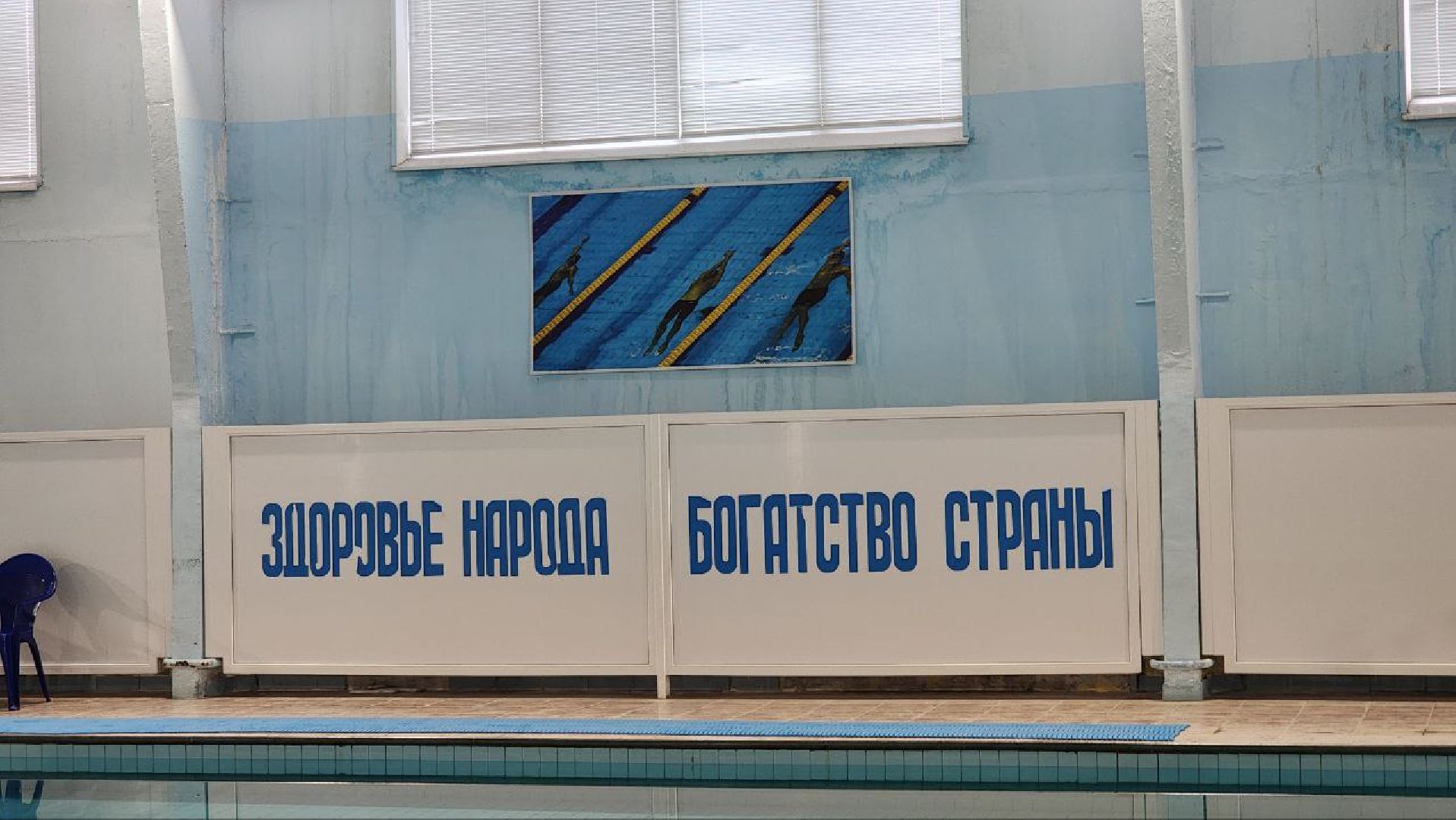 луховицы, спорт, плавание,