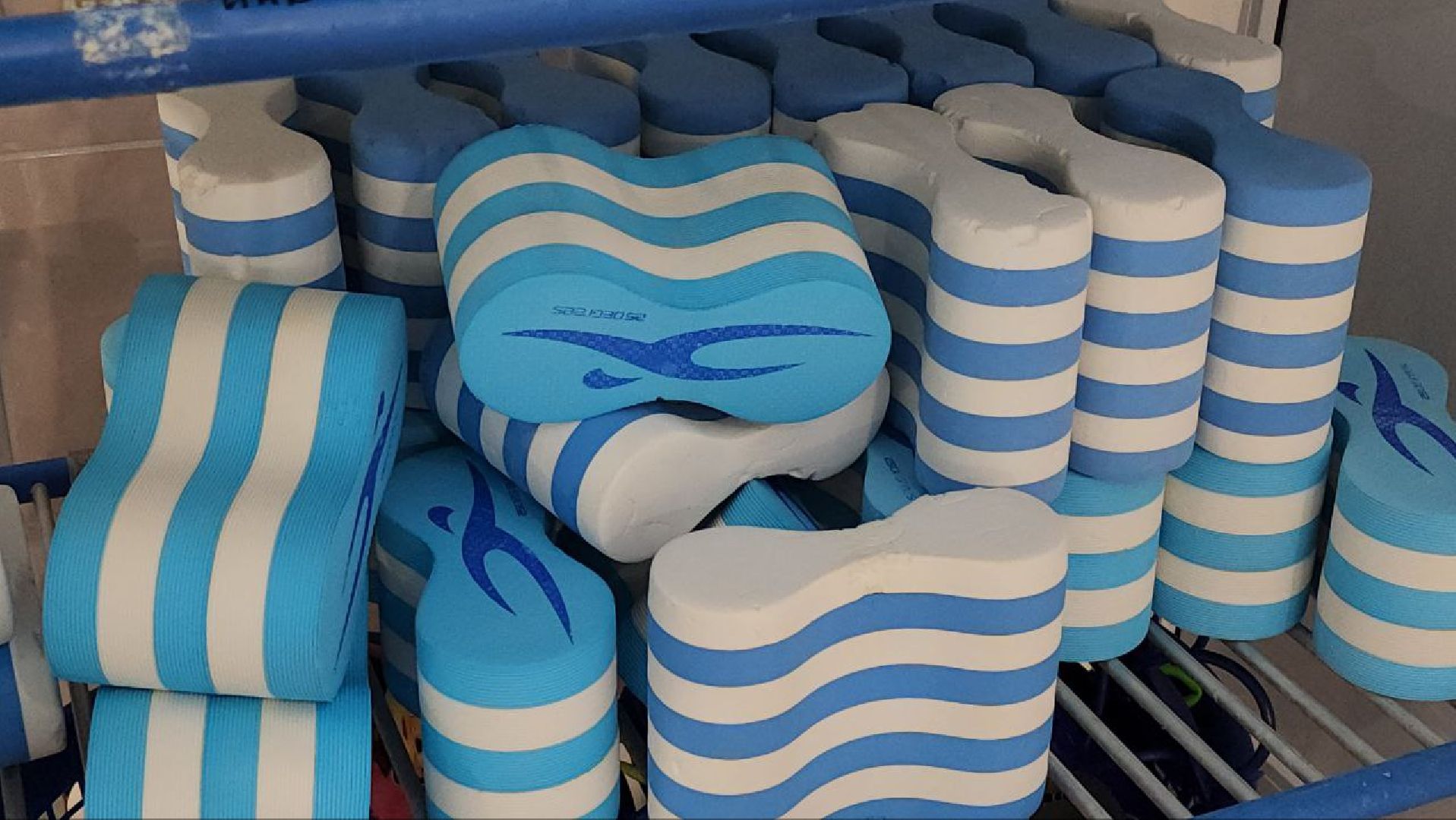 луховицы, спорт, плавание,