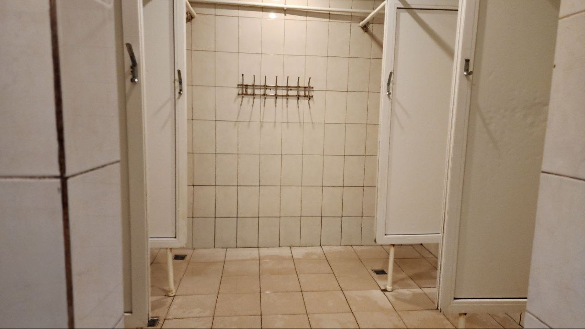 луховицы, спорт, плавание,