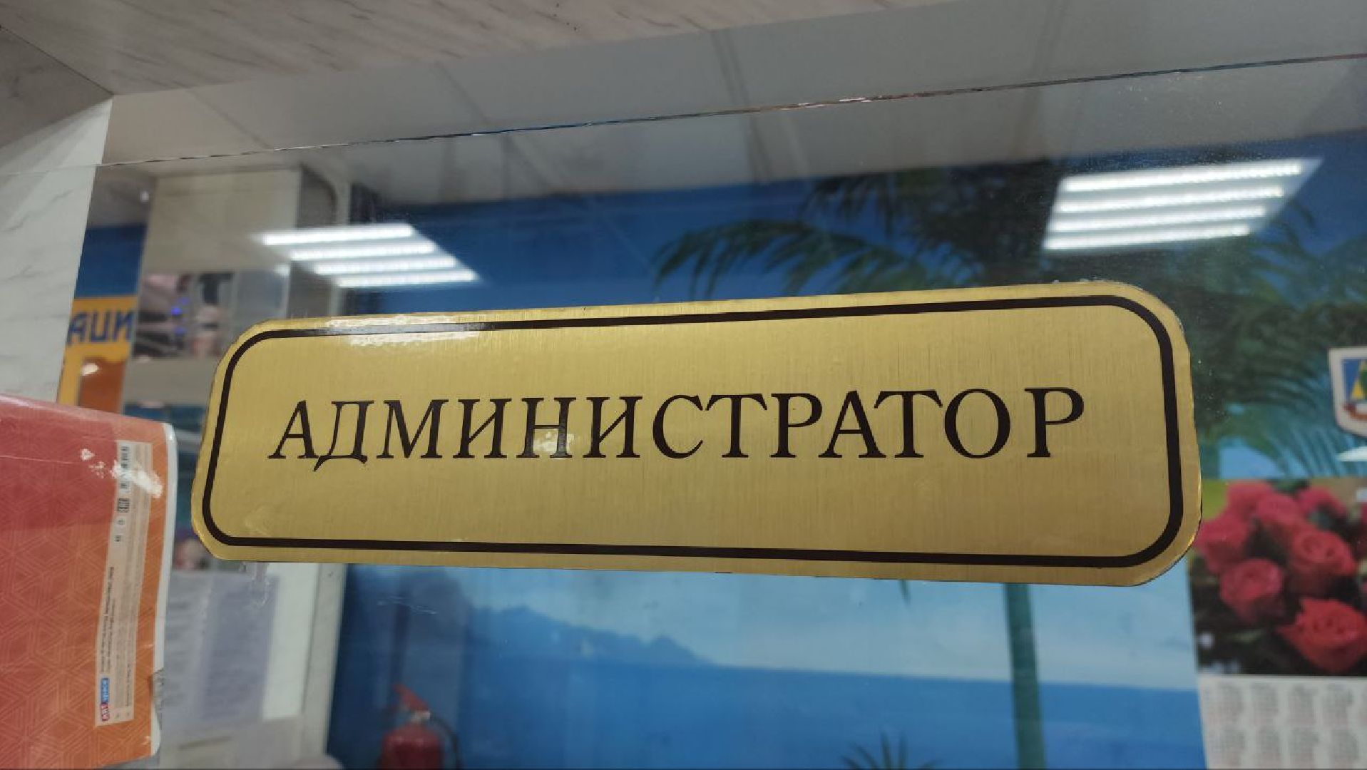 луховицы, спорт, плавание,