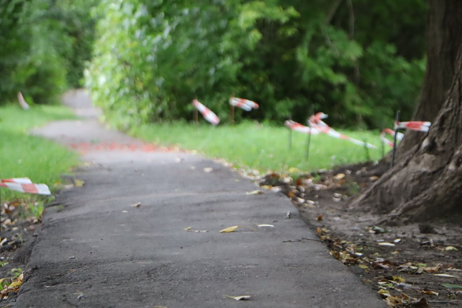 зарайск, благоустройство, комфортная среда,