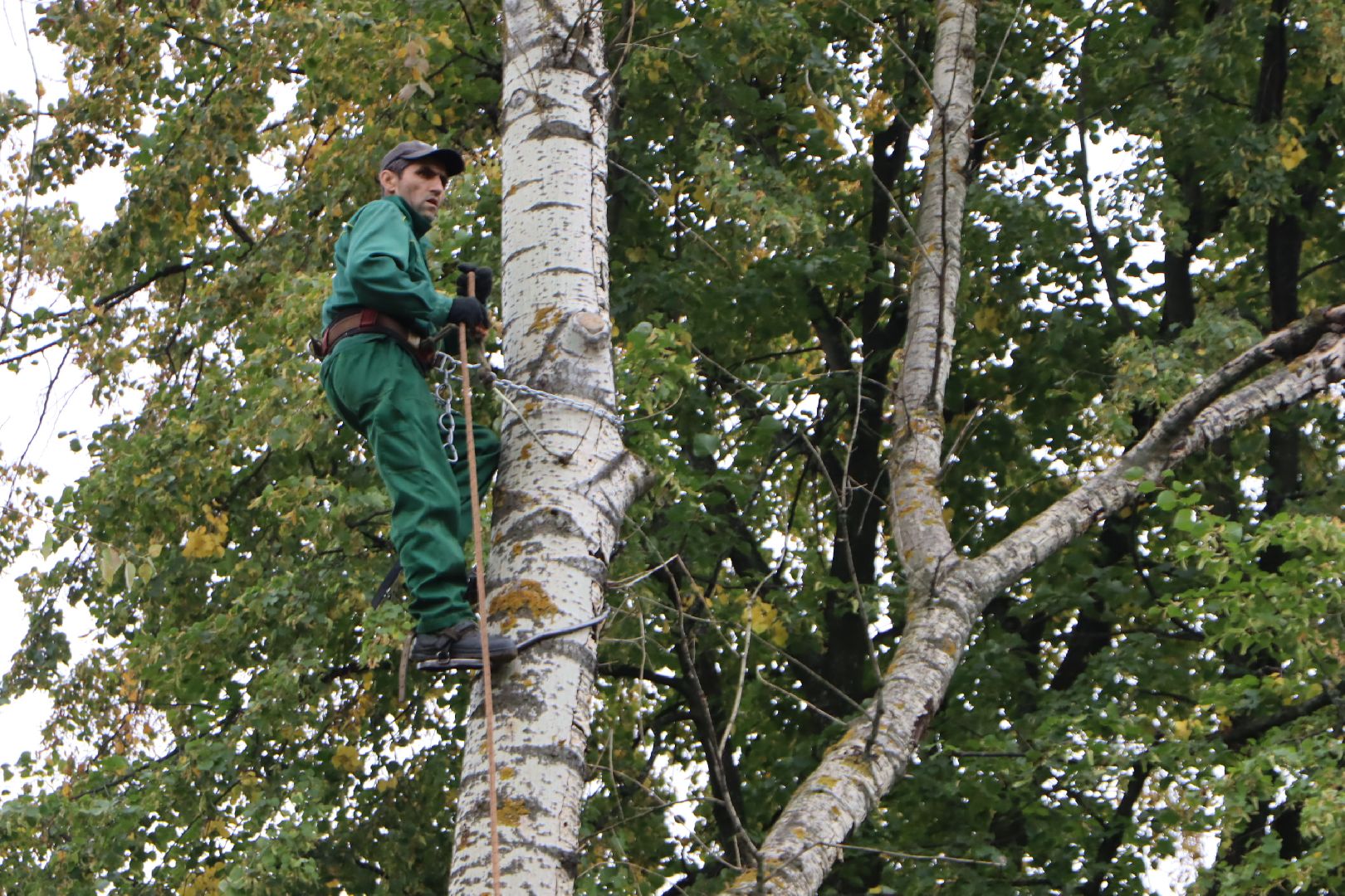зарайск, благоустройство, комфортная среда,