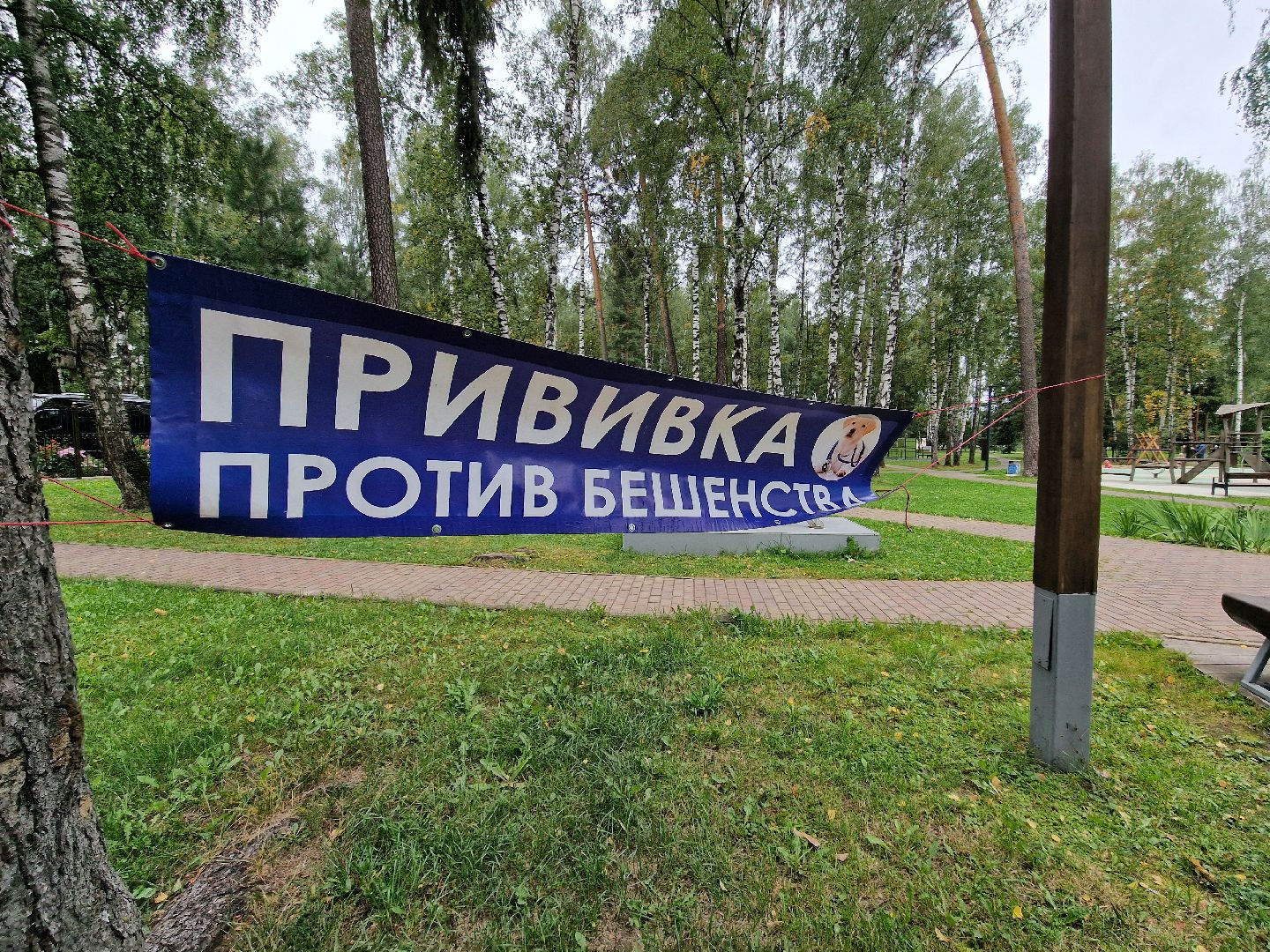 вакцинация от бешенства в балашихе, никольско-архангельский парк балашиха,