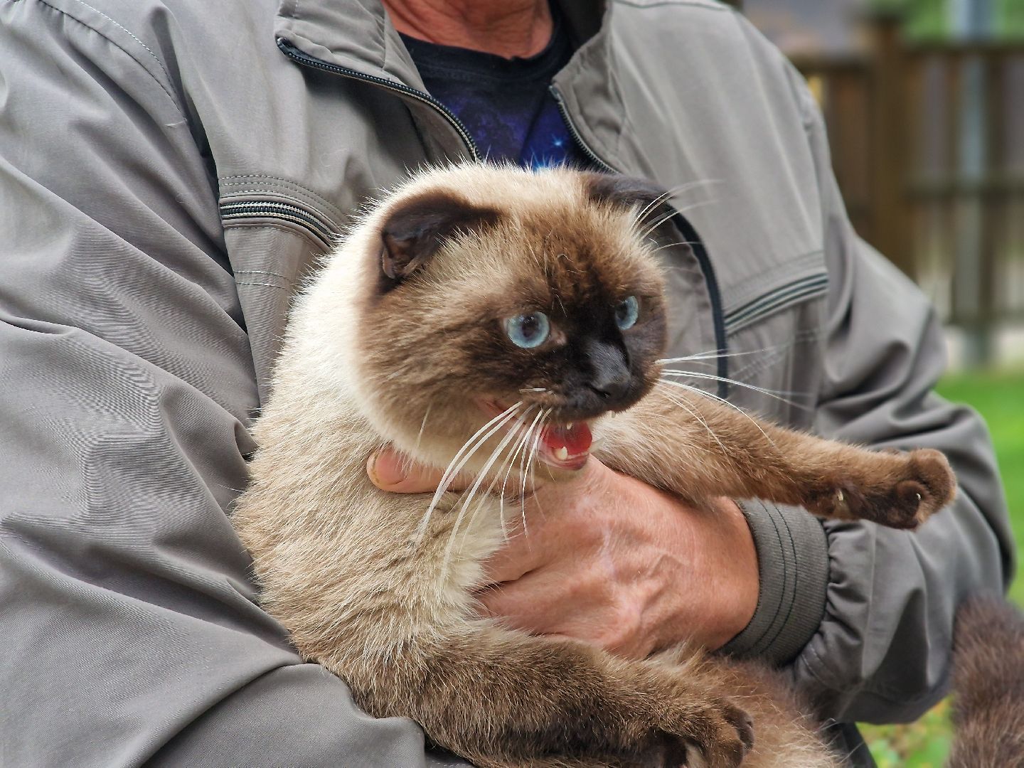 вакцинация от бешенства в балашихе, никольско-архангельский парк балашиха,