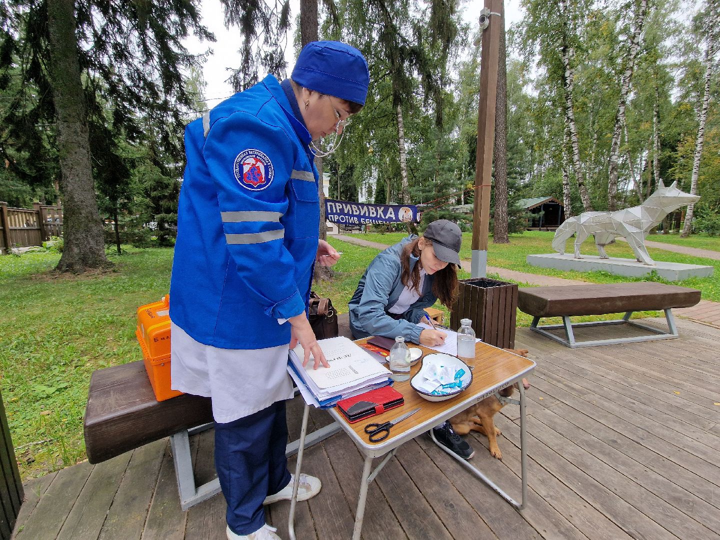 вакцинация от бешенства в балашихе, никольско-архангельский парк балашиха,