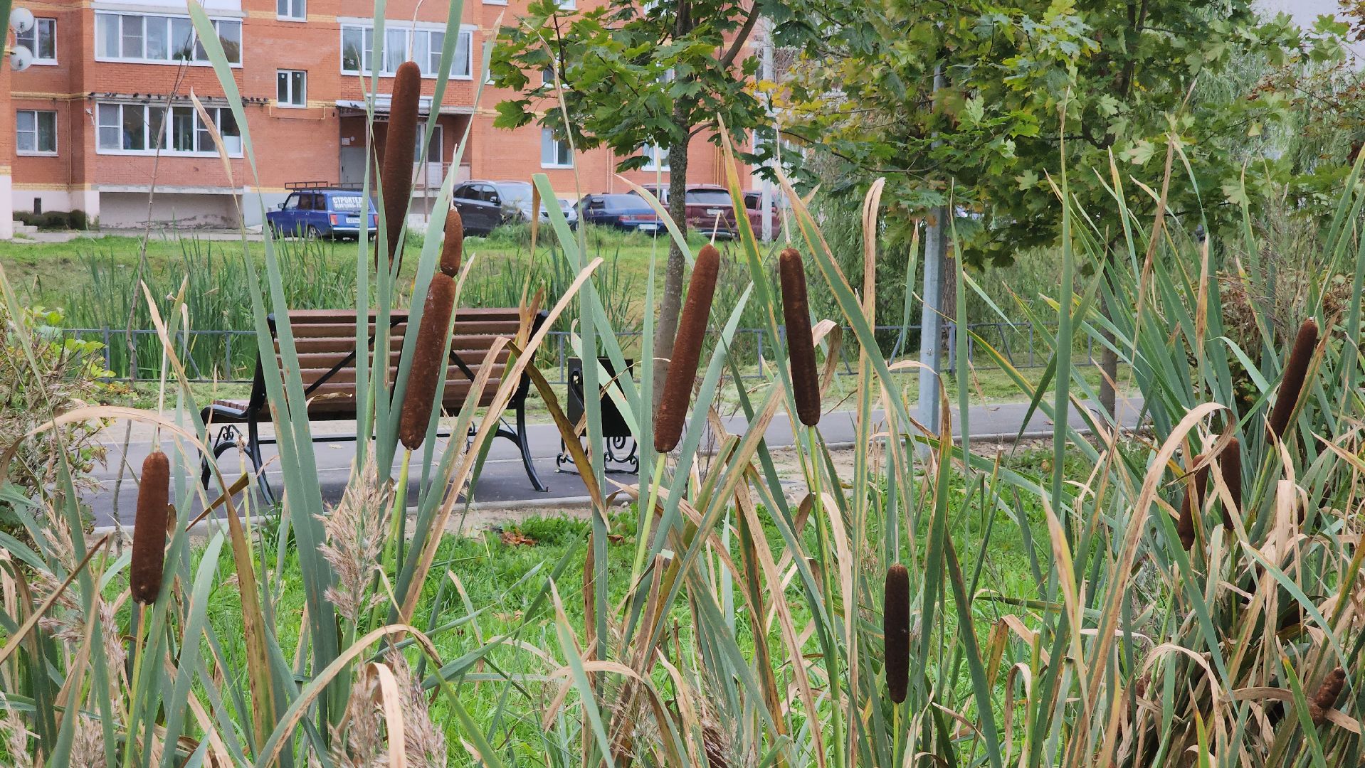 благоустройство 2025, скверы подмосковья, верея, орехово-зуевский округ,