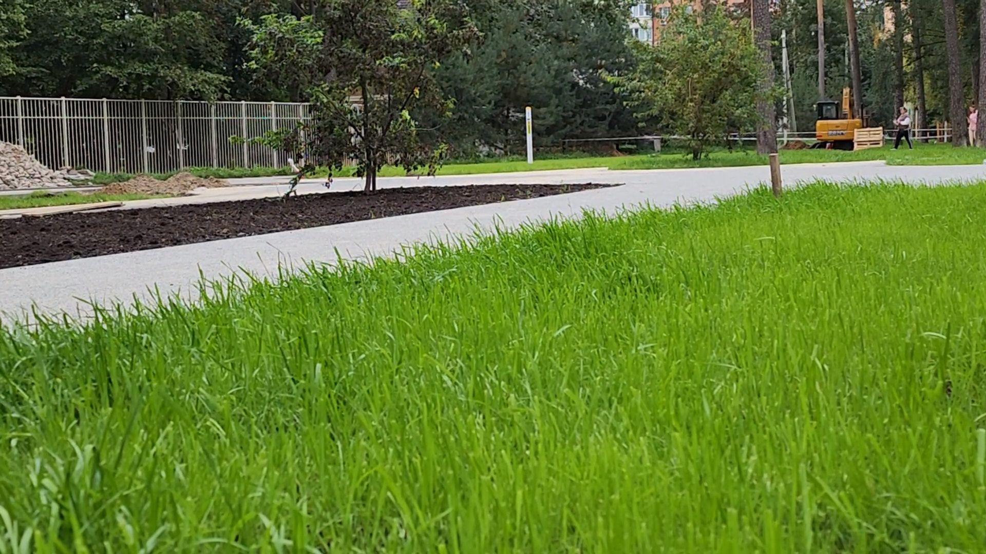 королёв, благоустройство сквера на пушкинской, территория у папанинской дачи в королеве,