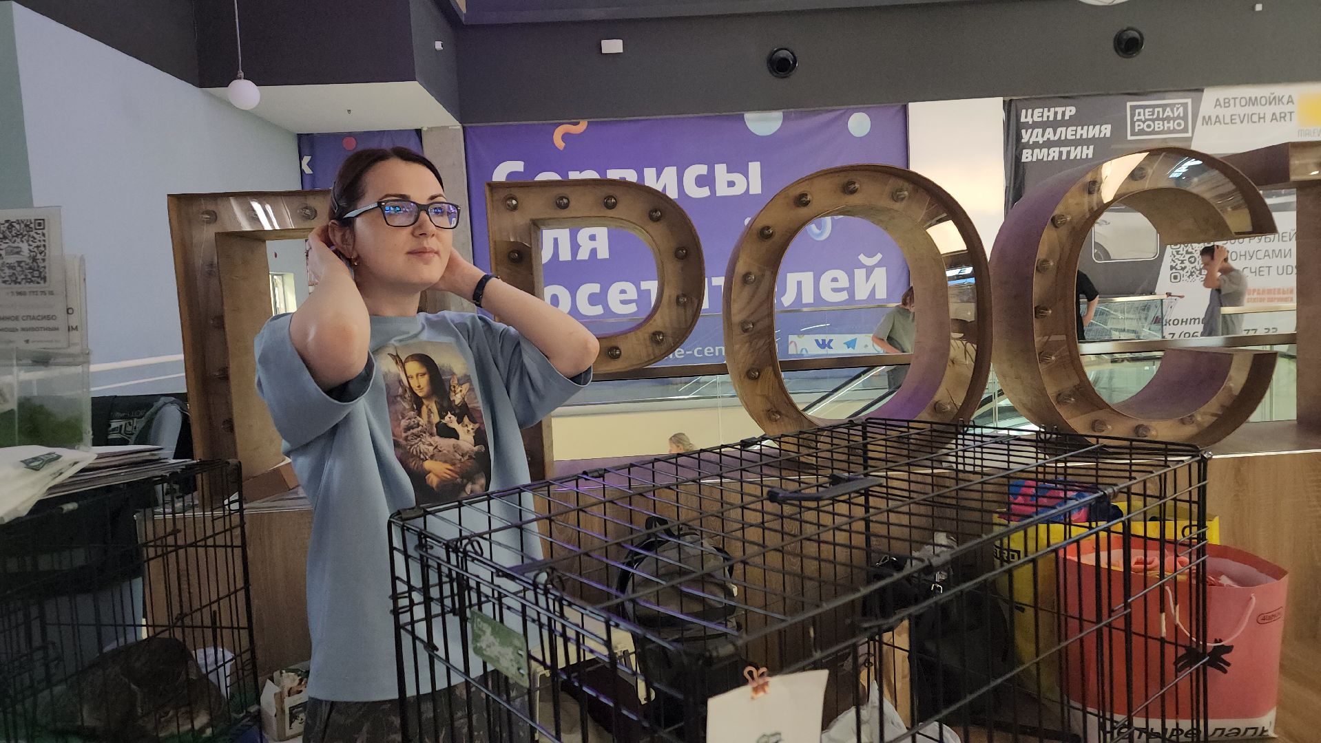 пушкино, пристройство щенков, бездомные животные, котята, кошки, собаки, волонтерская деятельность, помощь животным,экологи, ветеринар,психолог, лекции,