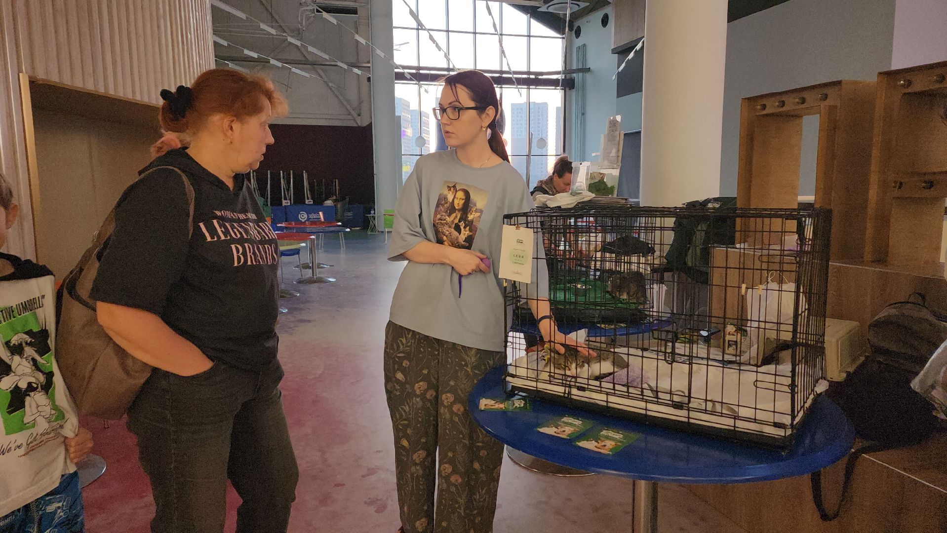 пушкино, пристройство щенков, бездомные животные, котята, кошки, собаки, волонтерская деятельность, помощь животным,экологи, ветеринар,психолог, лекции,