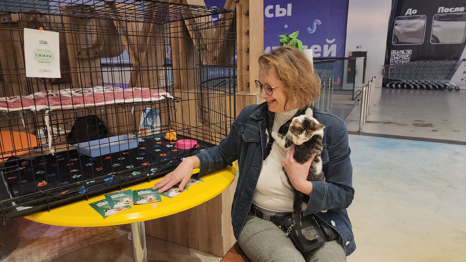 пушкино, пристройство щенков, бездомные животные, котята, кошки, собаки, волонтерская деятельность, помощь животным,экологи, ветеринар,психолог, лекции,