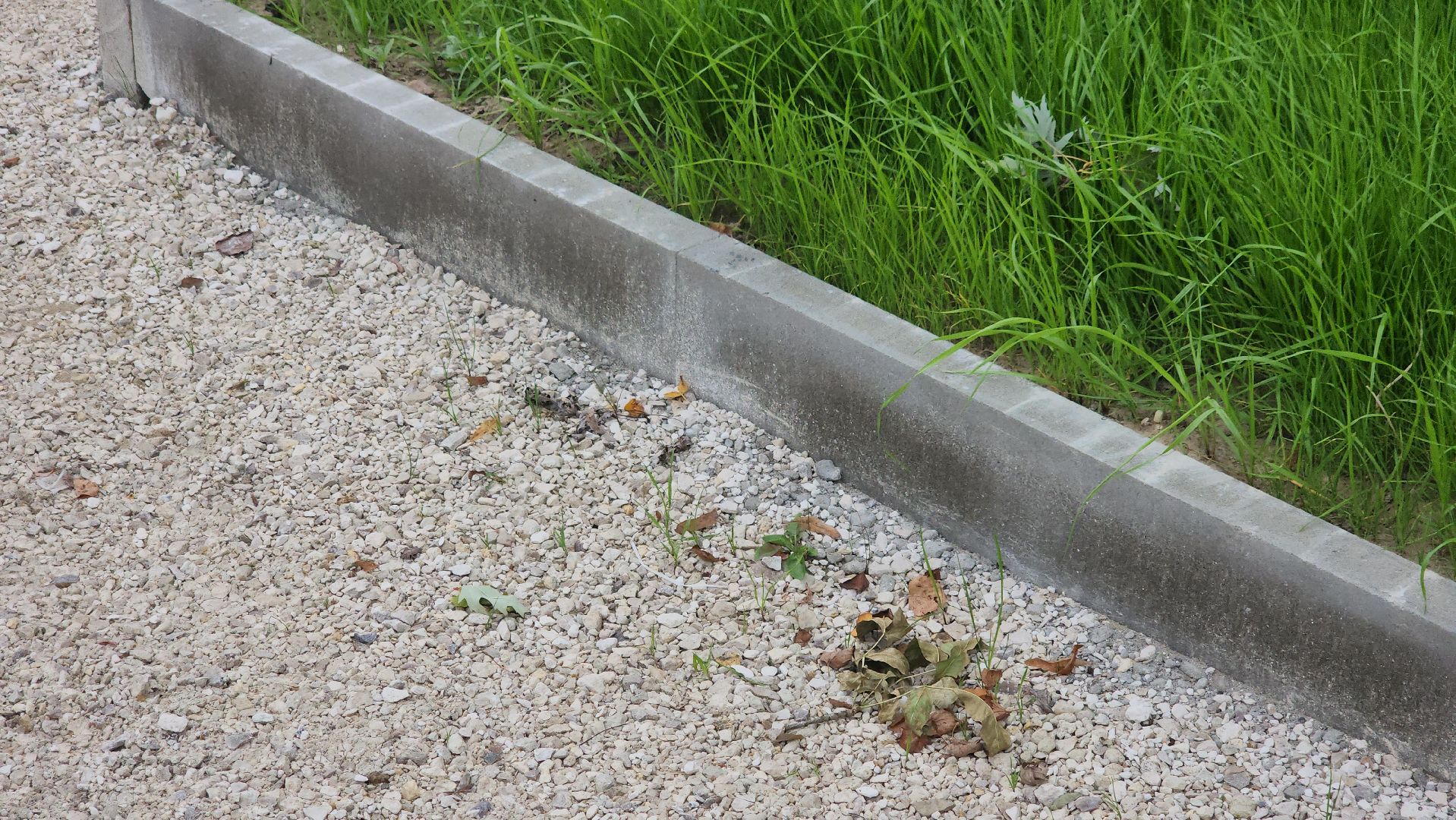 благоустройство, щёлково, замена плитки,