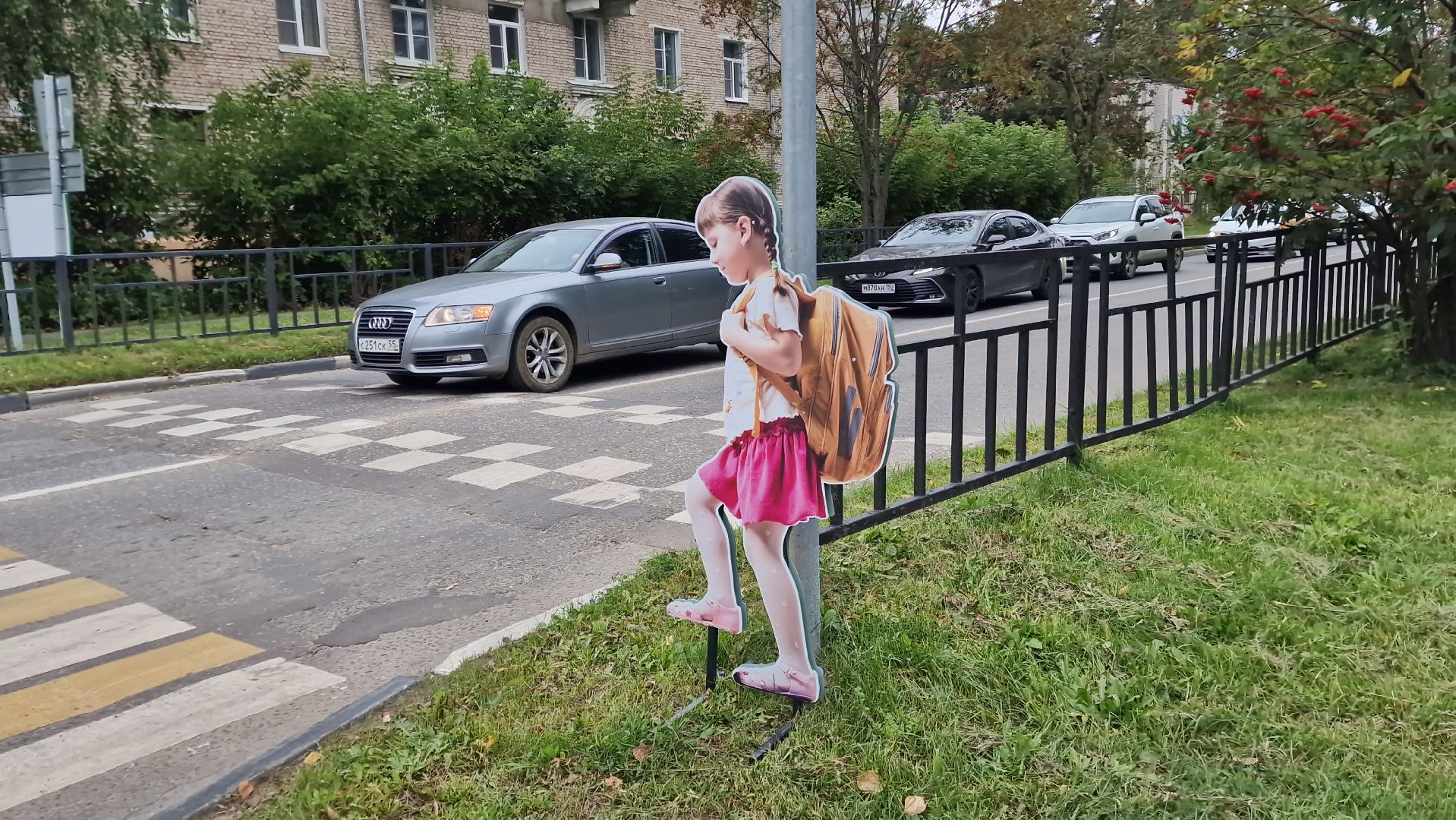 Дубна, пешеходныепереходы, макетынапереходах,