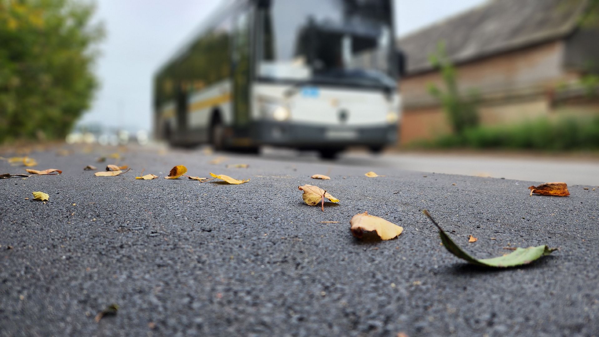 солнечногорск, тимоновское шоссе, дороги, безопасность,