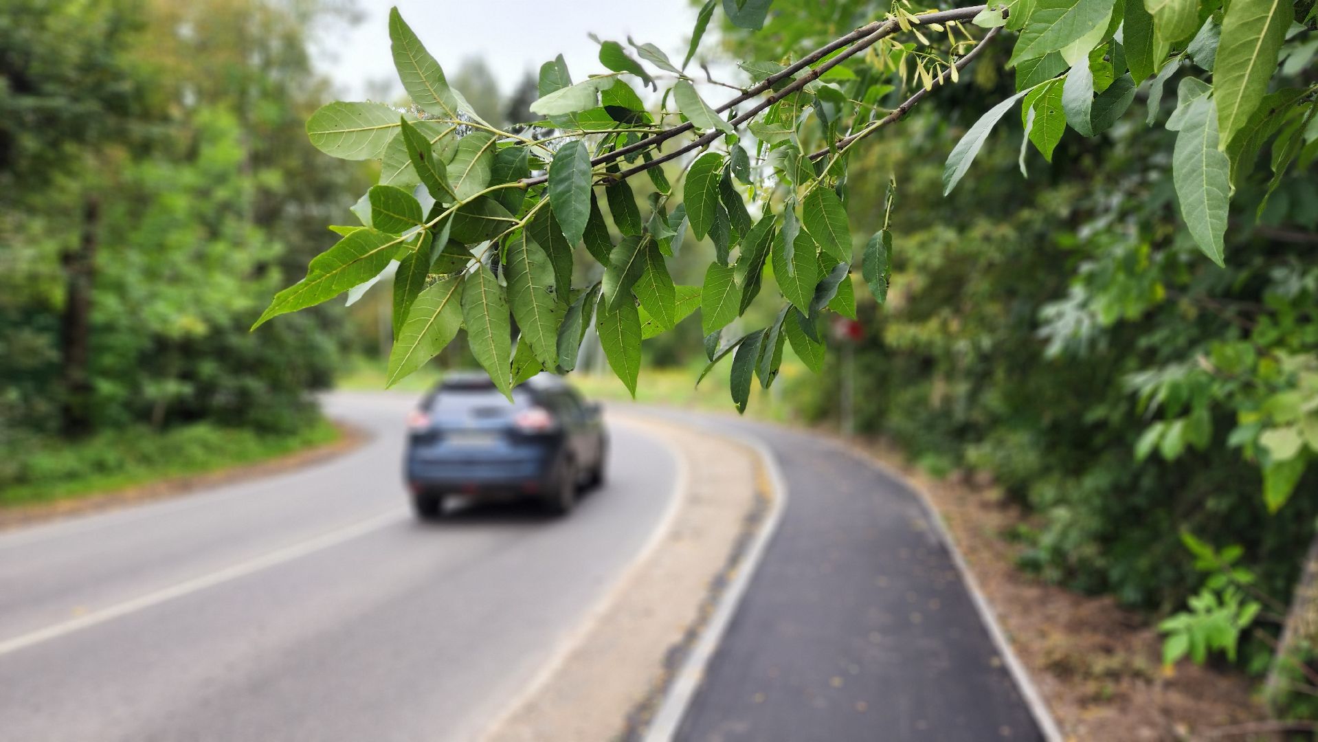 солнечногорск, тимоновское шоссе, дороги, безопасность,