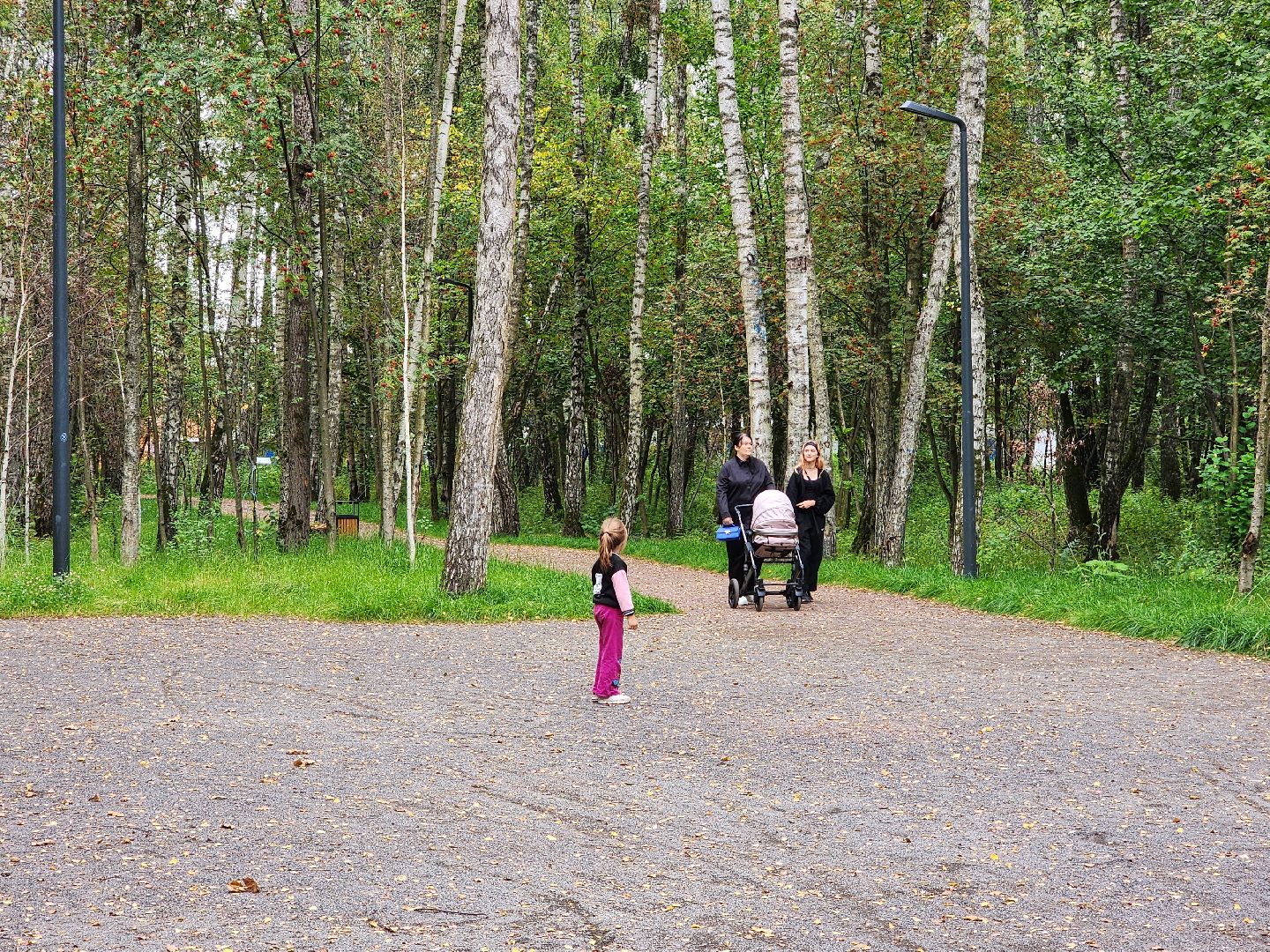 чехов, микрорайон губернский, улица уездная, лесопарк, благоустройство , строительство, проверка, депутат госдумы александр коган, инспекция, комиссия, заместитель главы округа александр ротнов, встреча с жителями , обращения граждан,госпрограмма московской области, формирование комфортной городской среды,