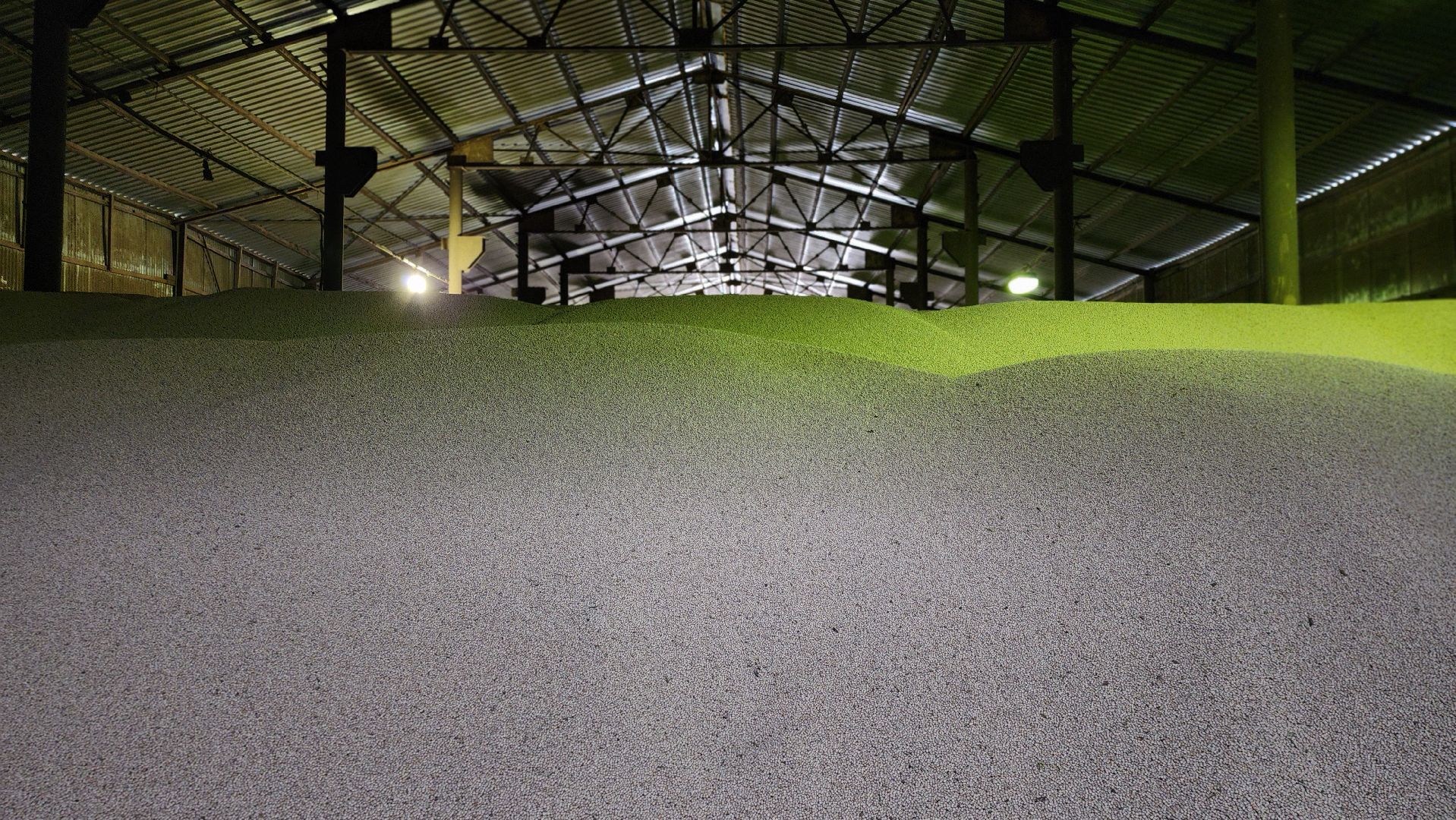 луховицы, туламашагро, головачево, сельское хозяйство,