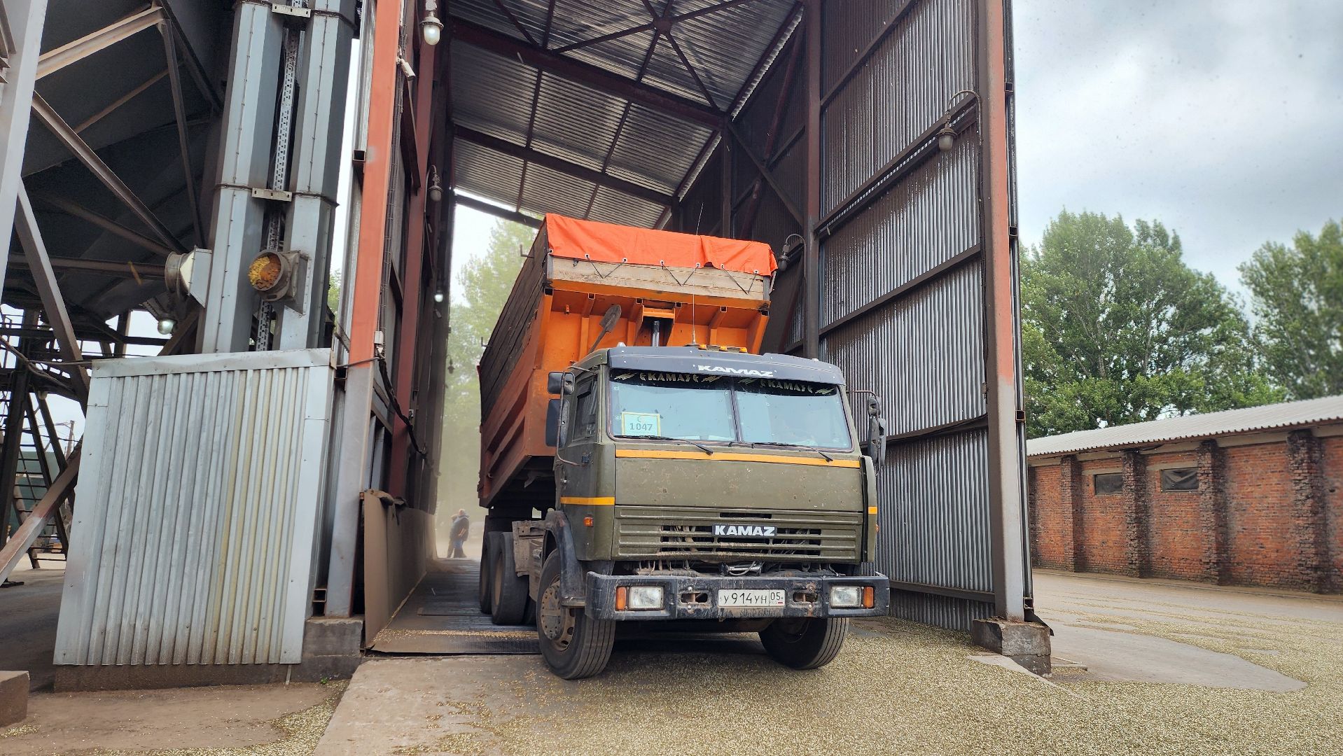 луховицы, туламашагро, головачево, сельское хозяйство,