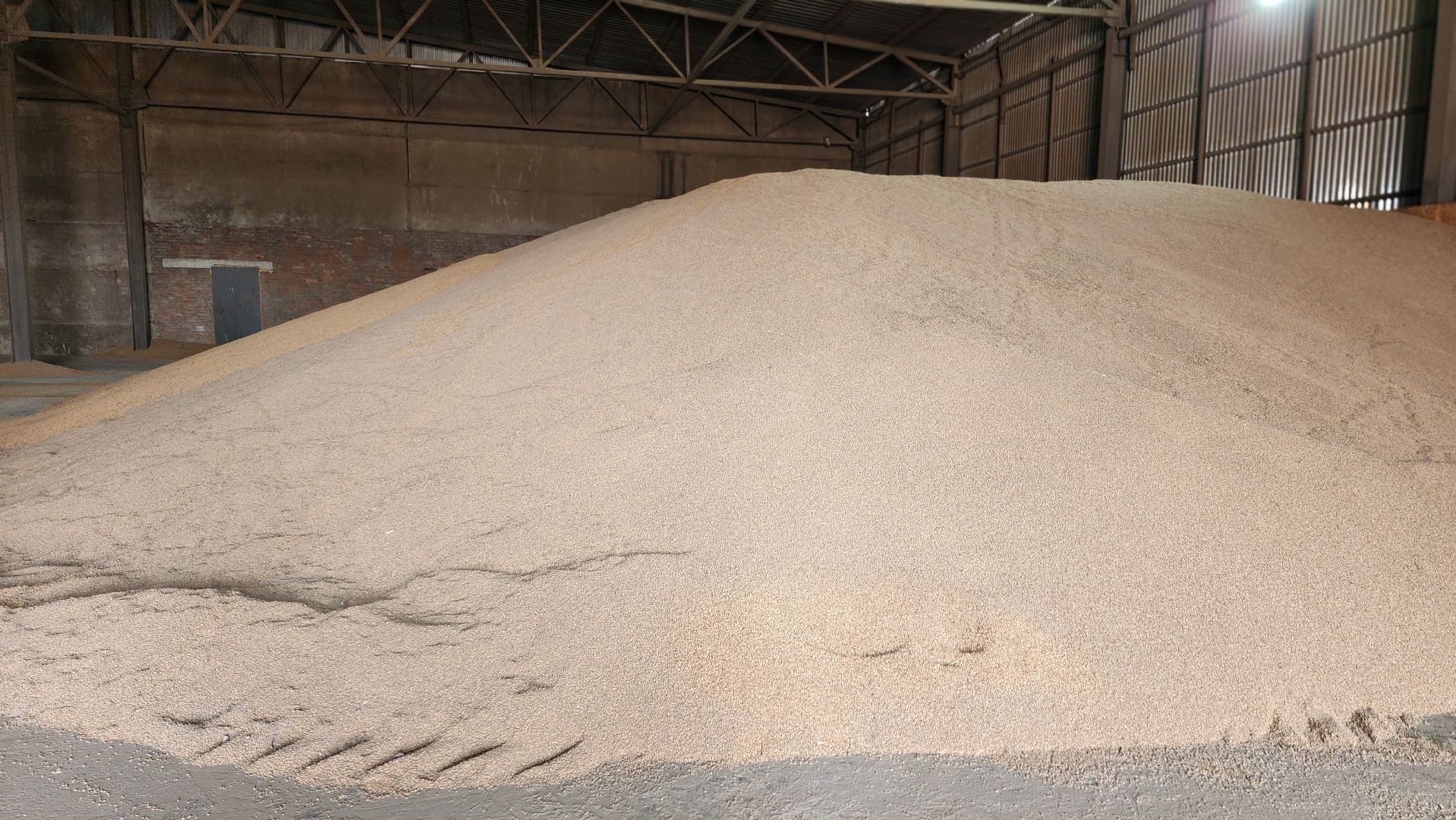 луховицы, туламашагро, головачево, сельское хозяйство,