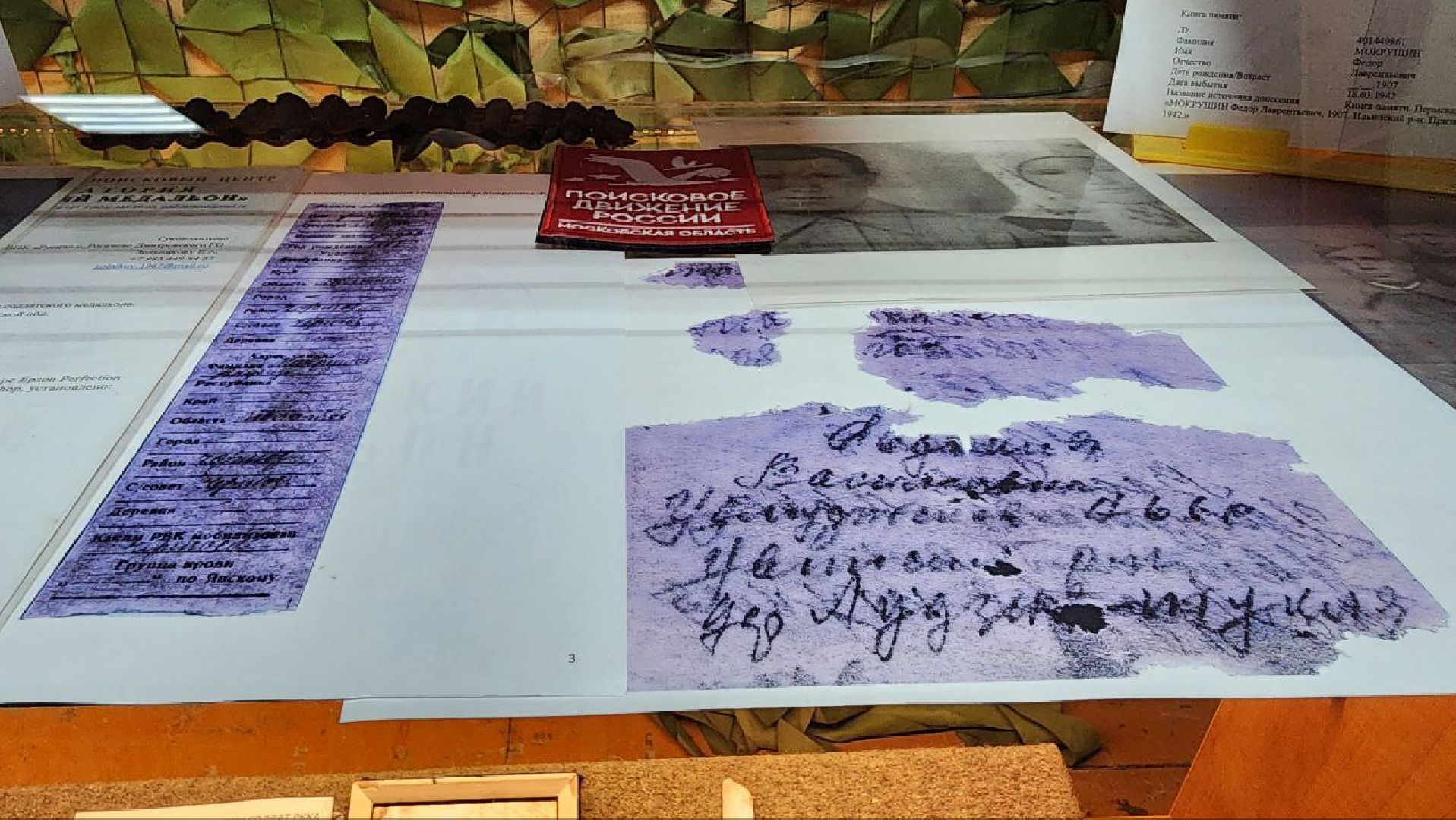 Дмитров, Поисковый отряд Русичи, Северный рубеж, Рогачево, Битва за Москву,