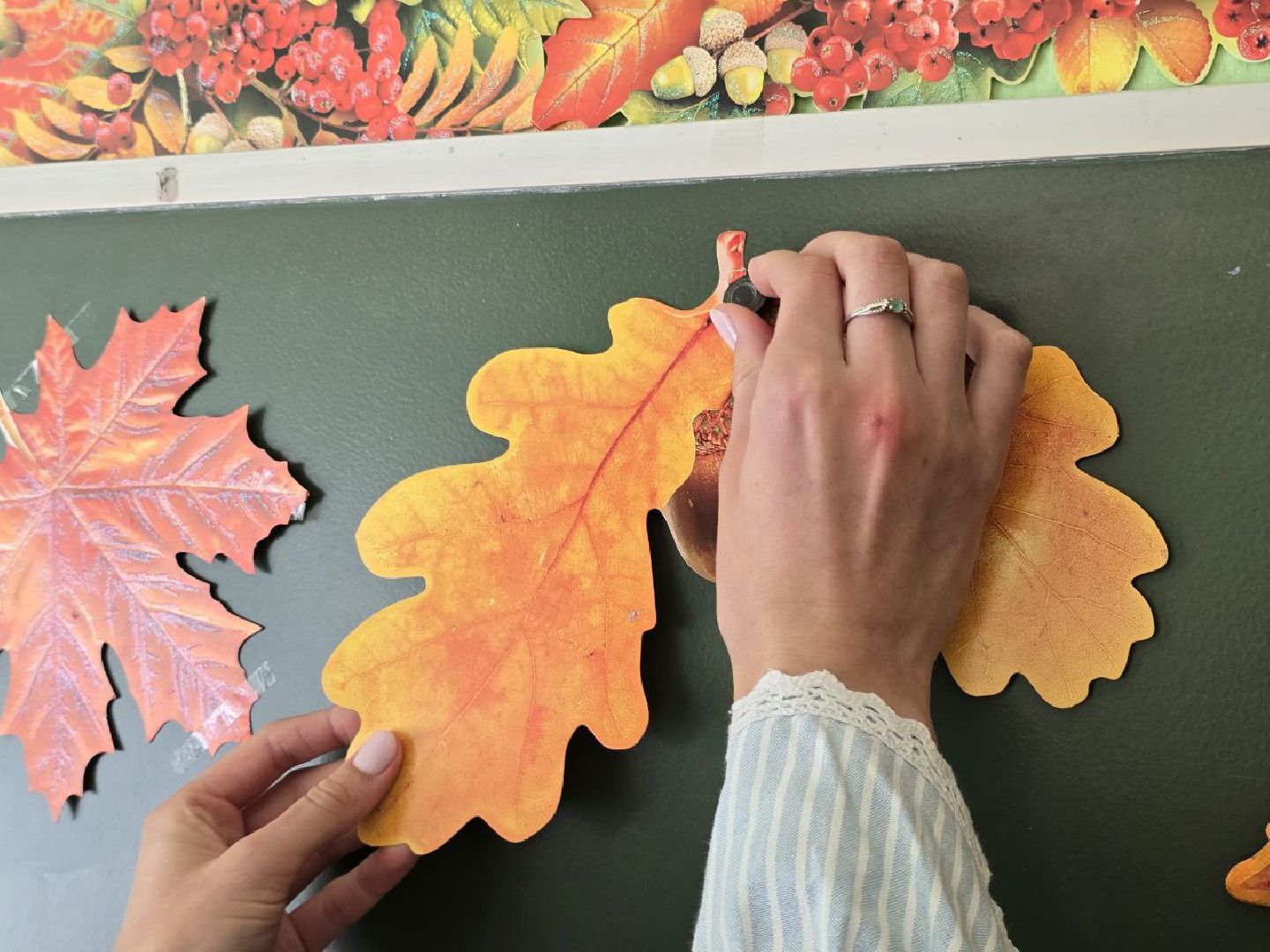 можайск, можайский муниципальный округ, подмосковье, образование, школа, новый педагог, молодой педагог,