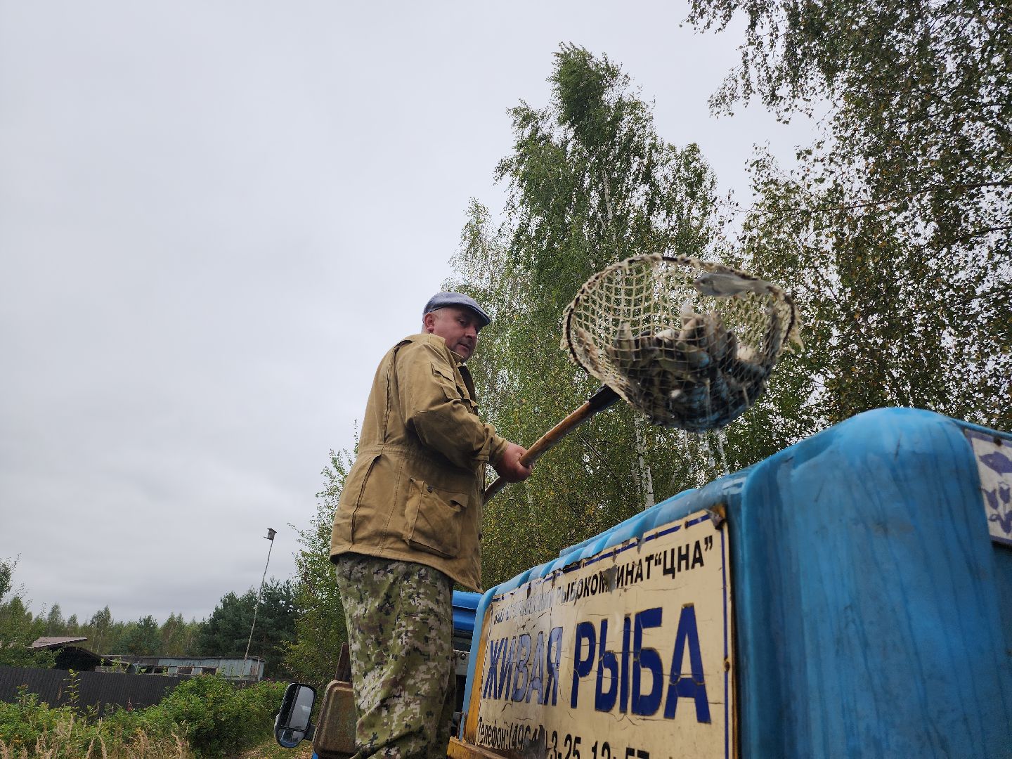 Егорьевск , Подмосковье , Московская область ,