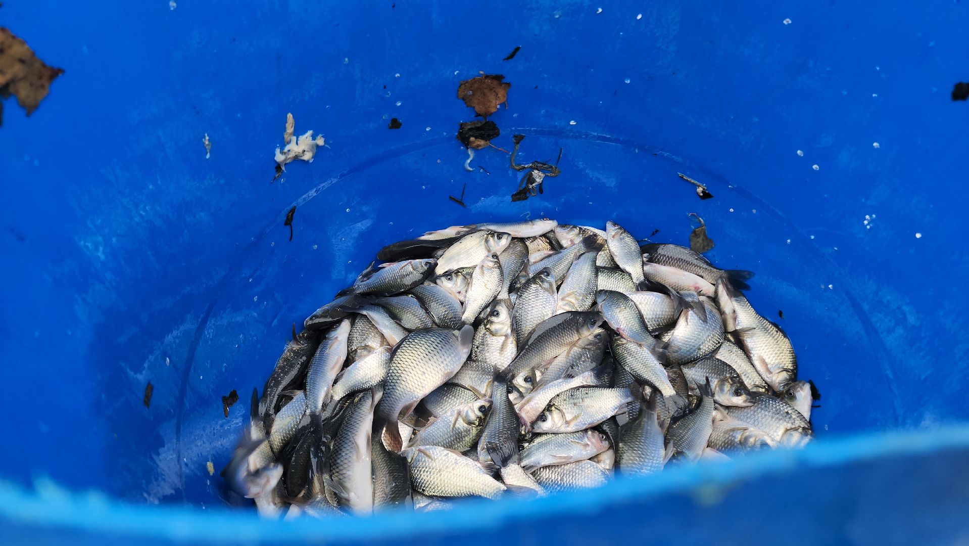 Егорьевск , Подмосковье , Московская область ,