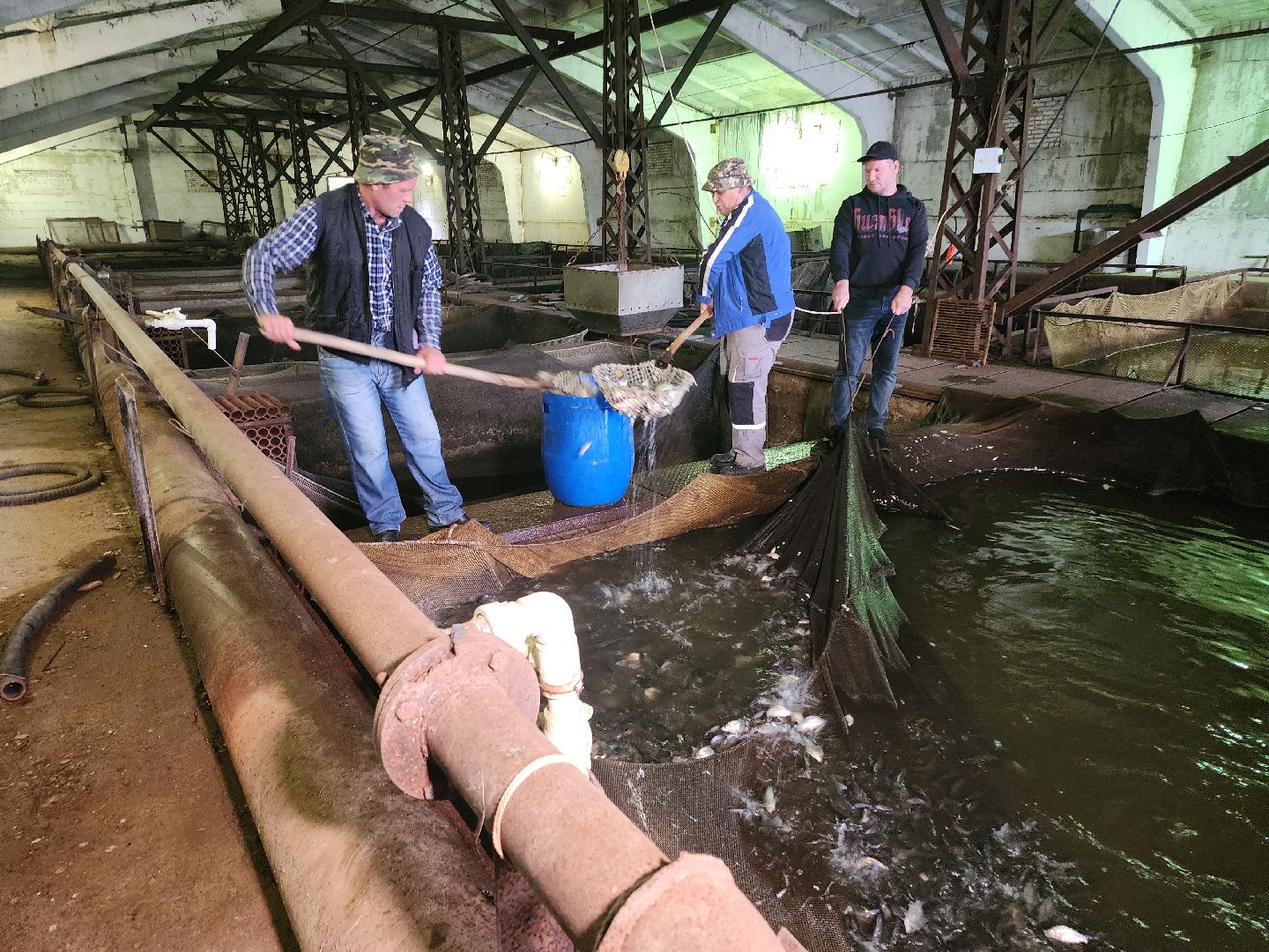 Егорьевск , Подмосковье , Московская область ,