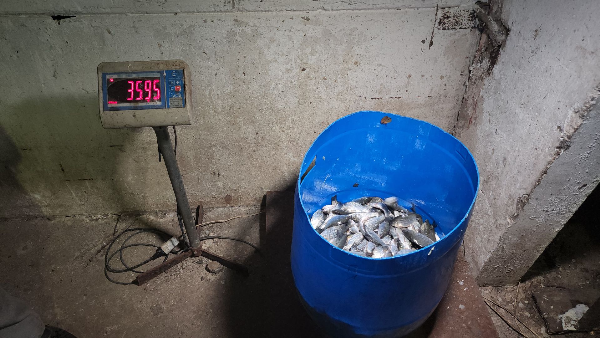 Егорьевск , Подмосковье , Московская область ,