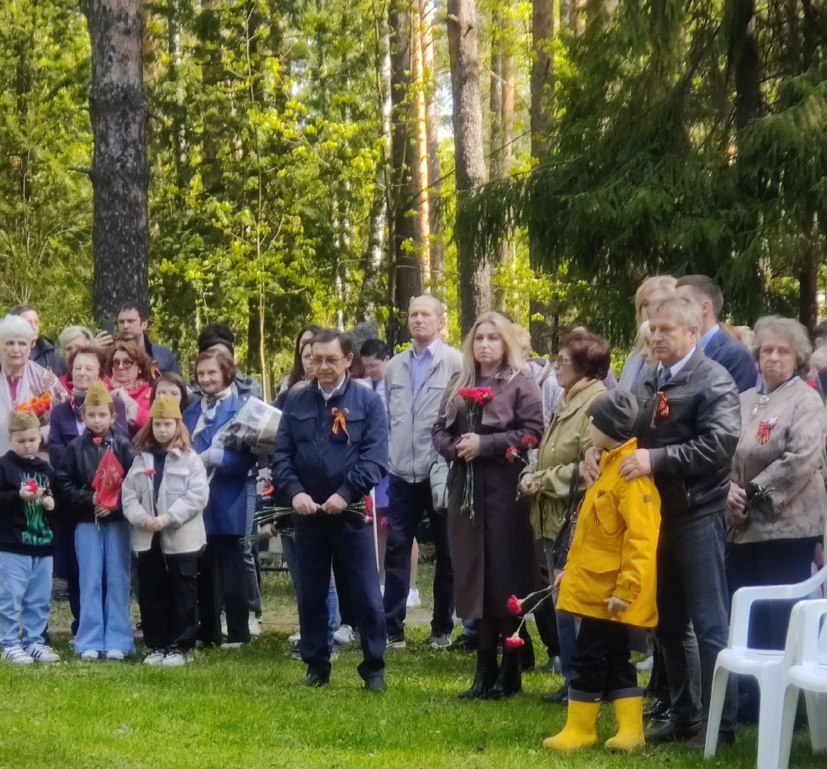Красноармейск, Пушкинский, День Победы, памятник погибшим лётчикам, возложение цветовов