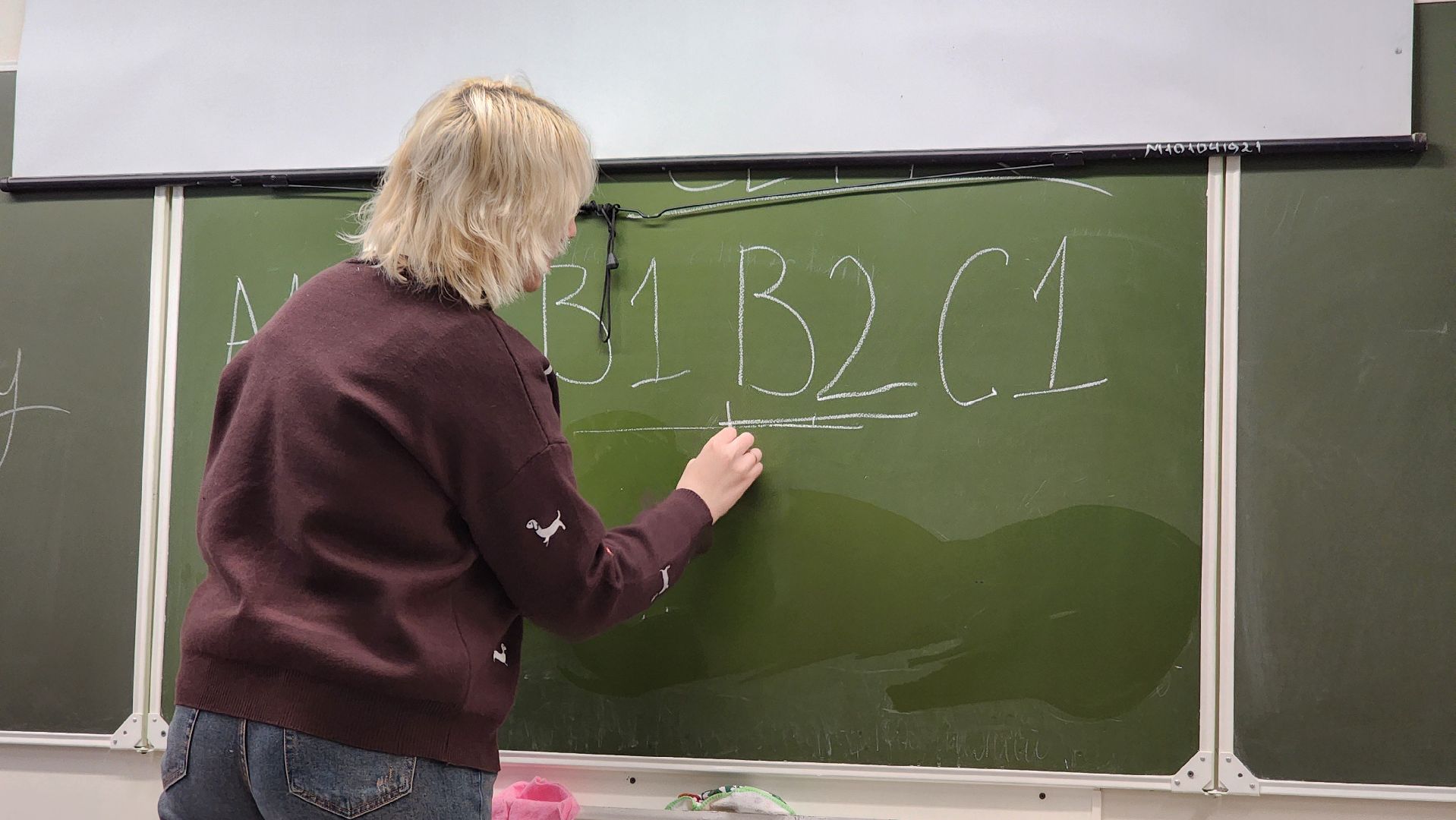 лицей протвино, образование, молодой учитель,