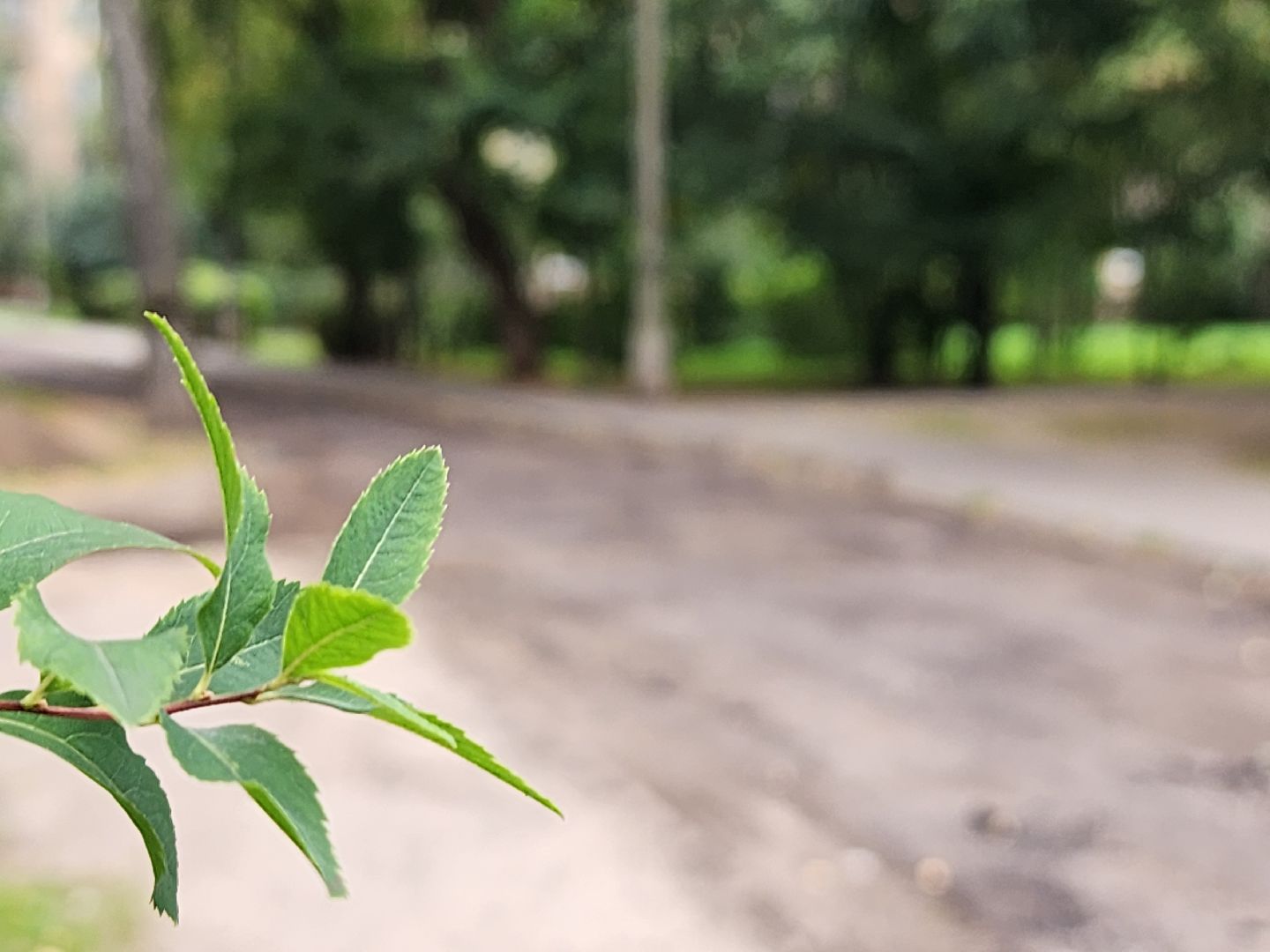 благоустройство, благоустройство дворовой территории, комфортная городская среда, старая купавна, богородский городской округ,