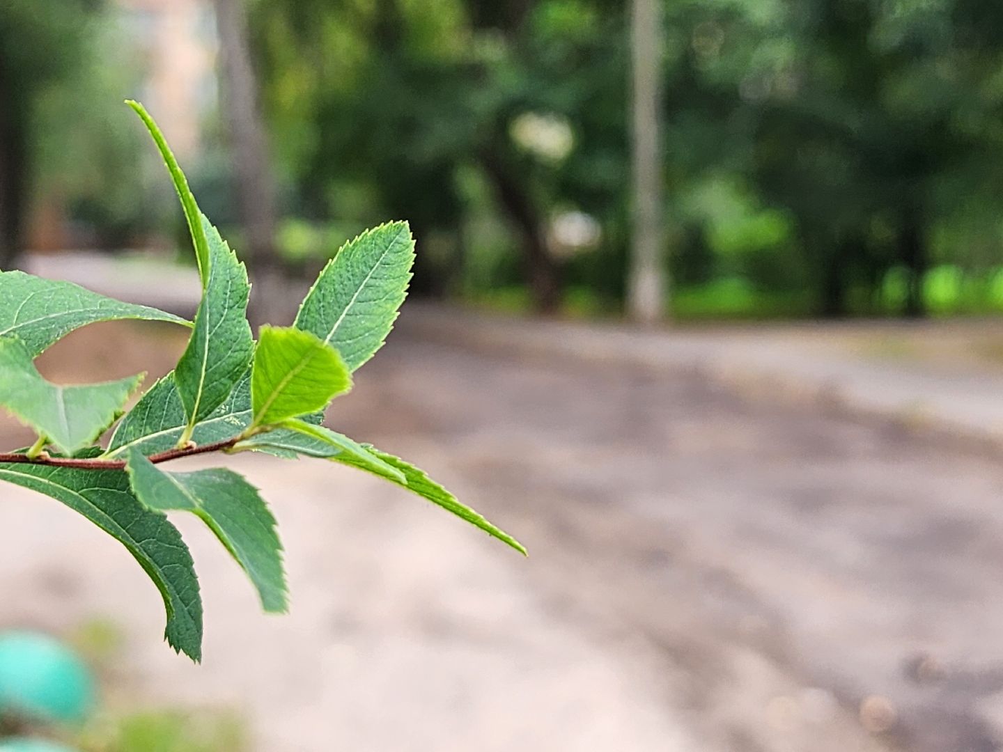 благоустройство, благоустройство дворовой территории, комфортная городская среда, старая купавна, богородский городской округ,