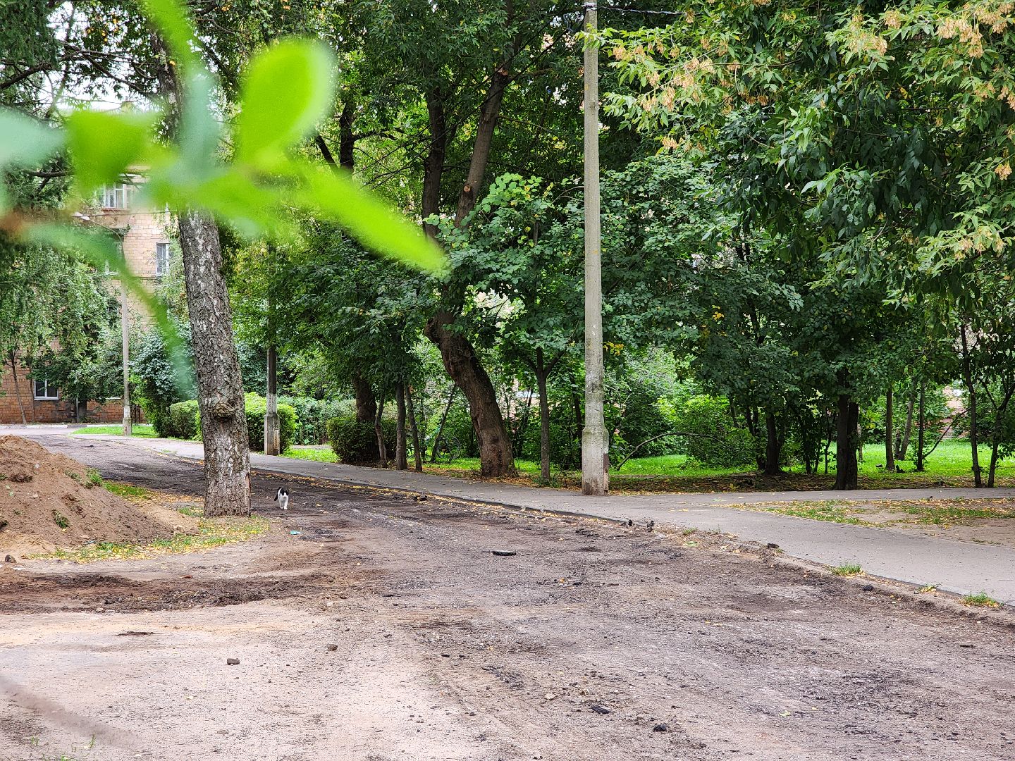 благоустройство, благоустройство дворовой территории, комфортная городская среда, старая купавна, богородский городской округ,