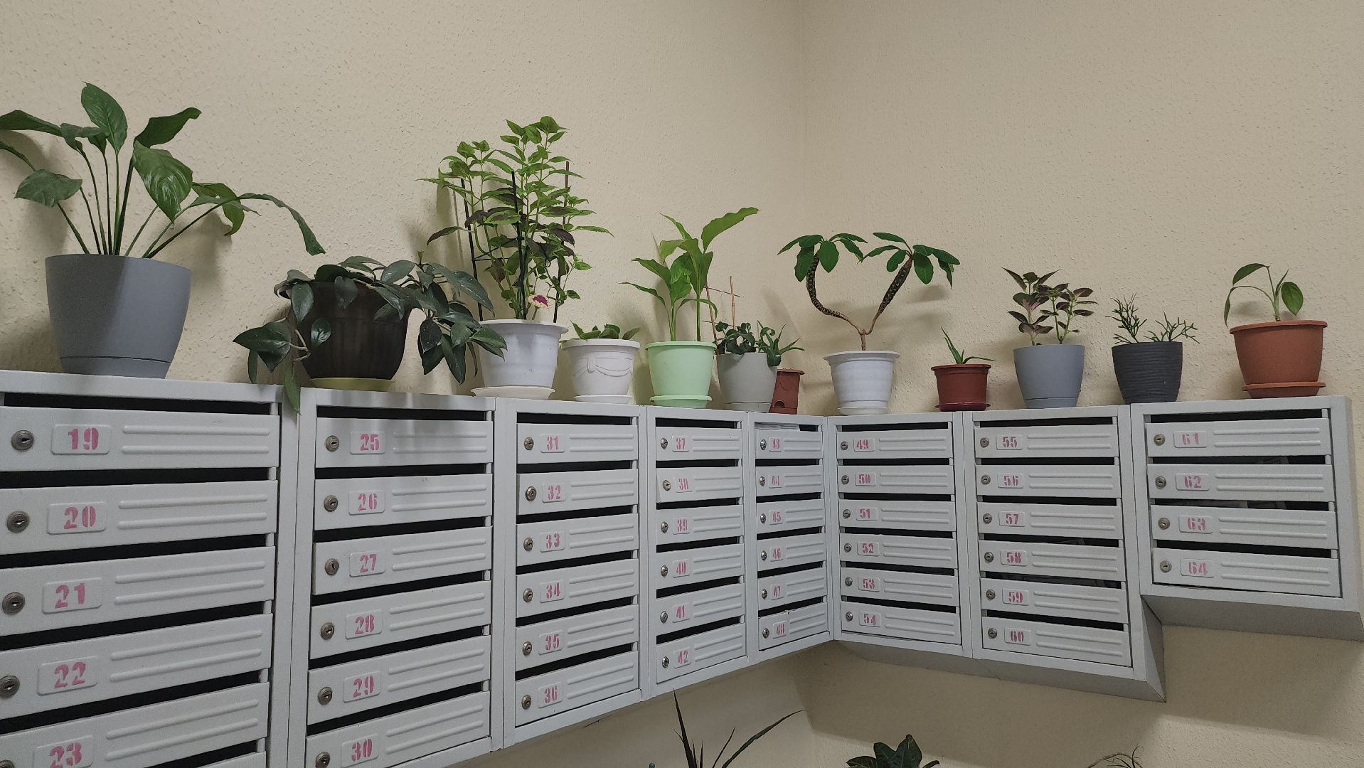 люберцы, замена мусоропровода, управляющая компания,