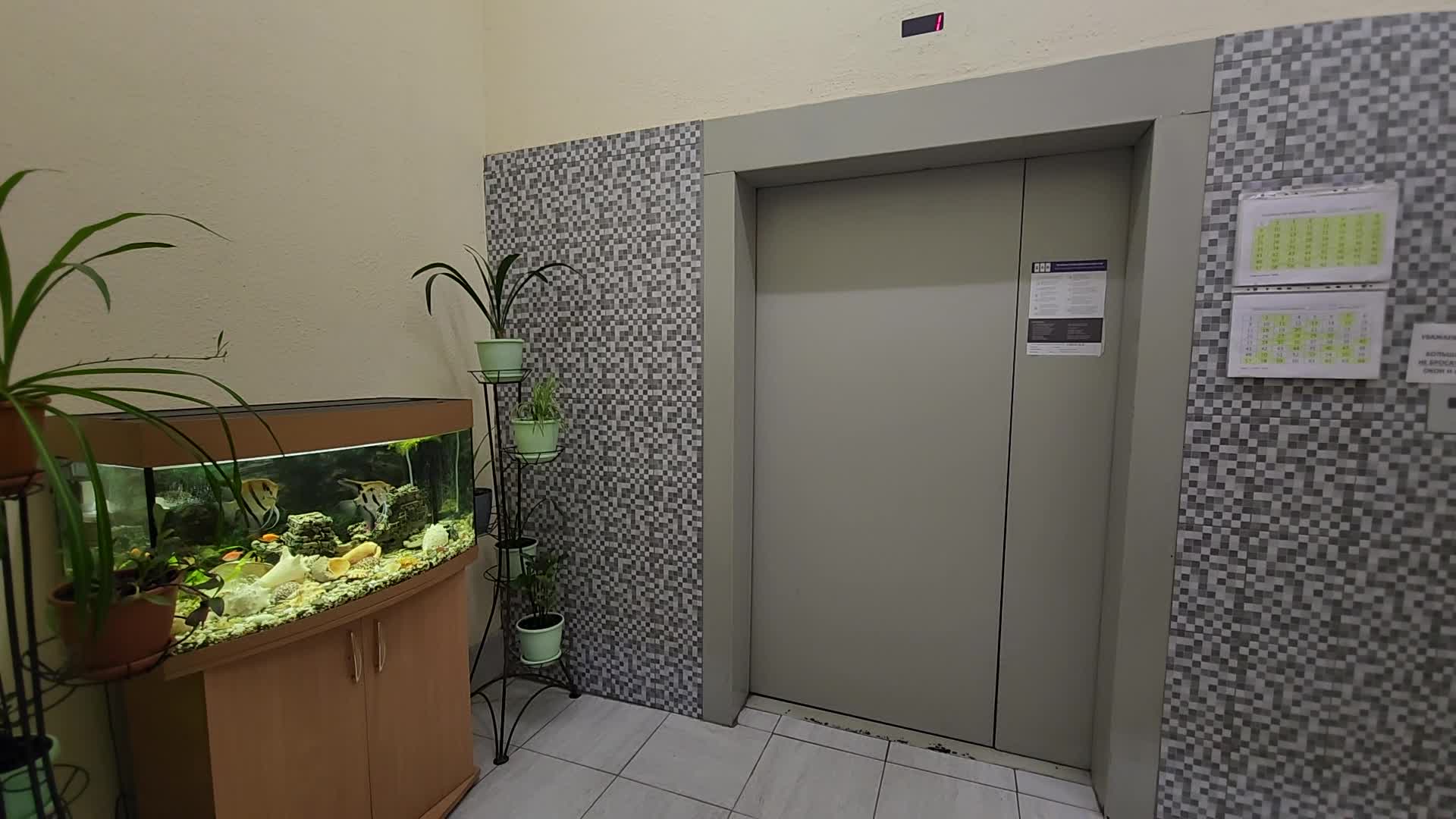 /mediabank_mount//80223/fb8d2e784643730aa1de3644a257c046.jpg