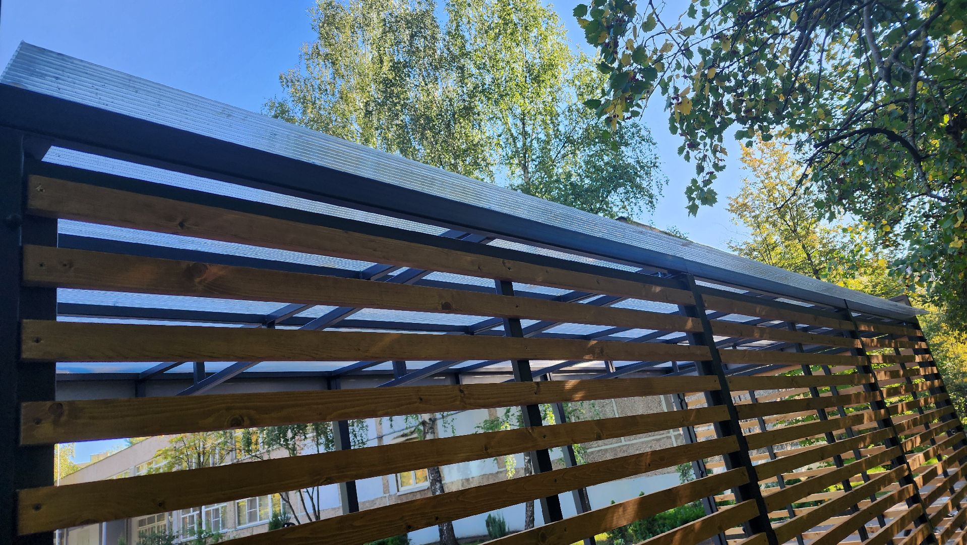 Реутов, парковка, образование, парковка для школьников, школа 1,