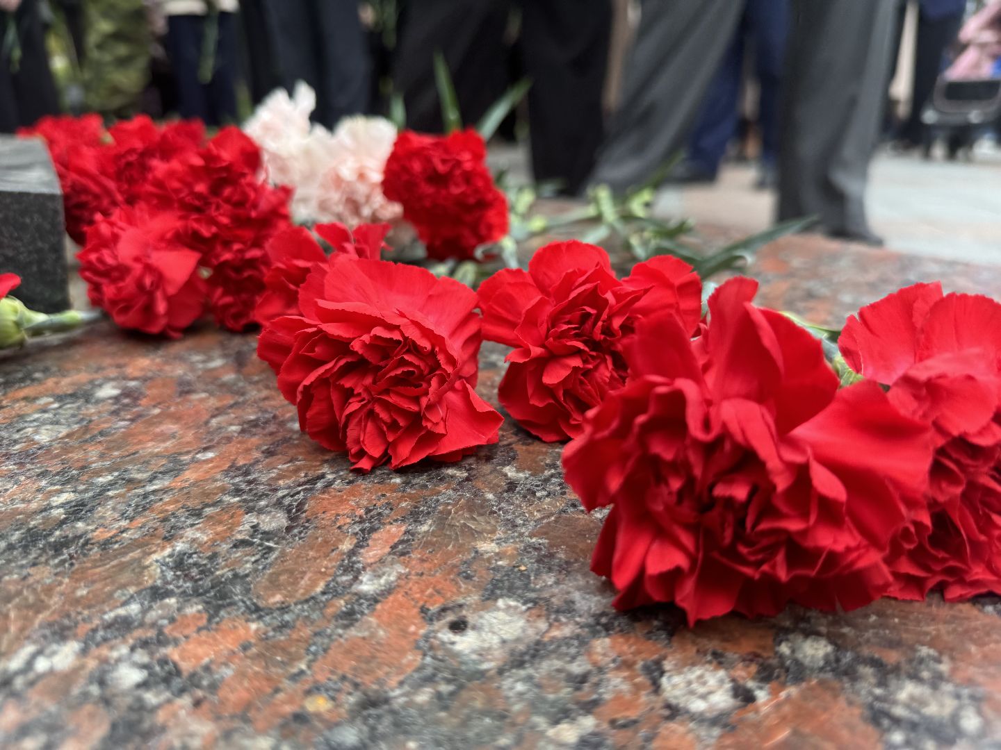 митинг памяти , день солидарности в борьбе с терроризмом, ленинский городской округ, возложение цветов,