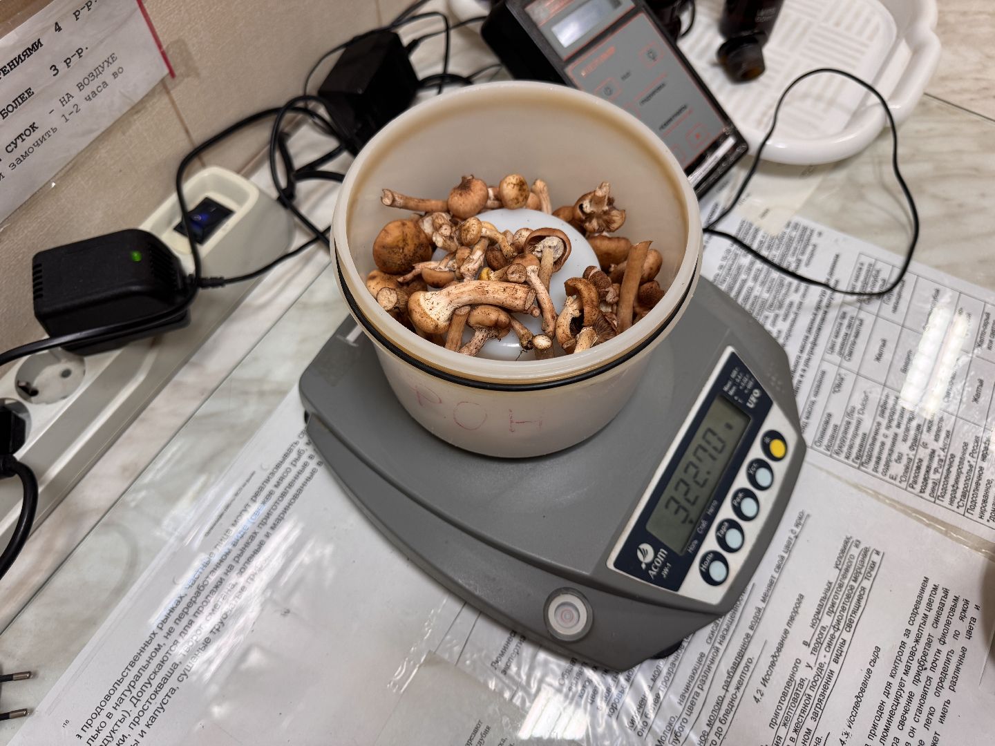 одинцовское подворье, Сезон грибов, Ветлаборатория Одинцова,