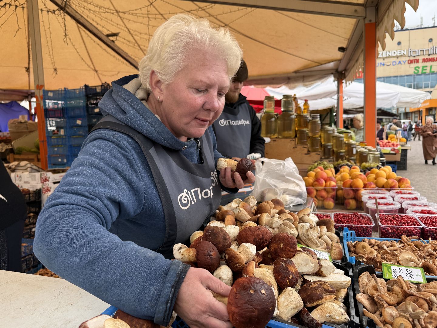 одинцовское подворье, Сезон грибов, Ветлаборатория Одинцова,