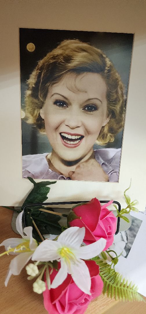 Образование,  Городская библиотека Звенигорода , Общество ,