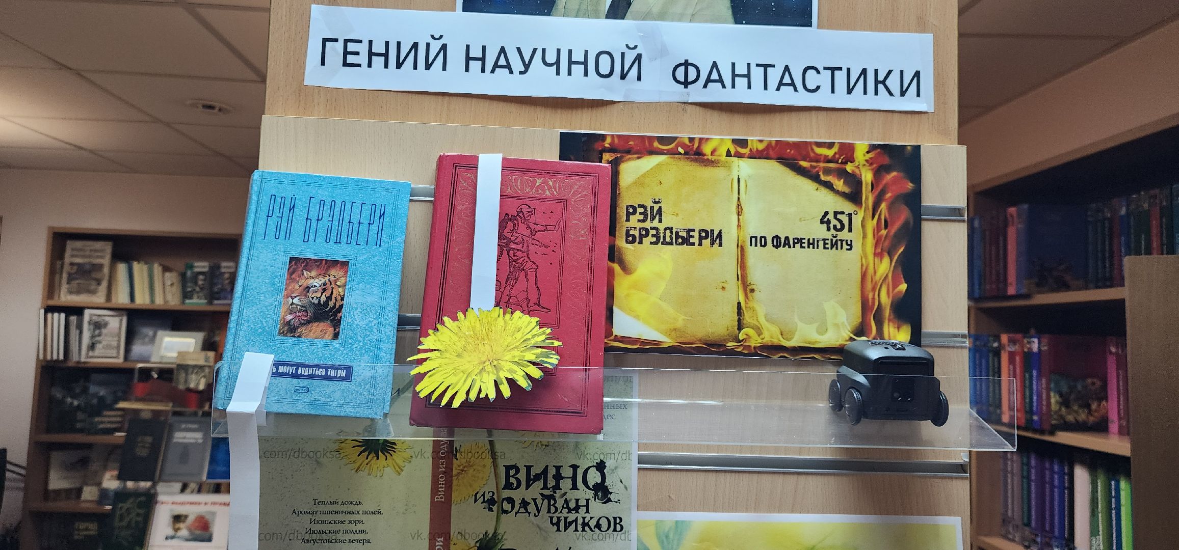 Образование,  Городская библиотека Звенигорода , Общество ,