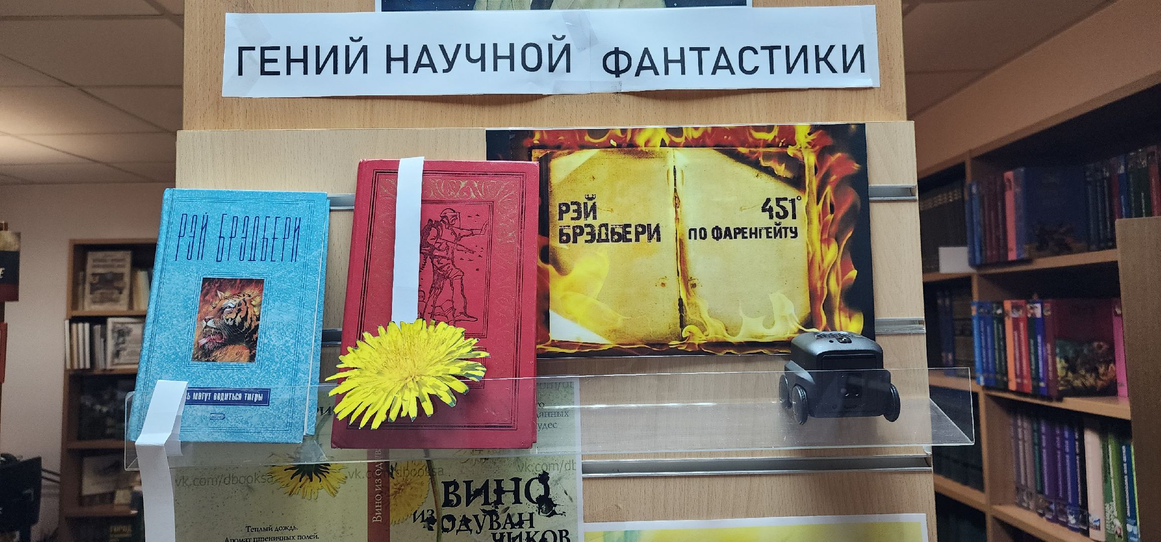 Образование,  Городская библиотека Звенигорода , Общество ,