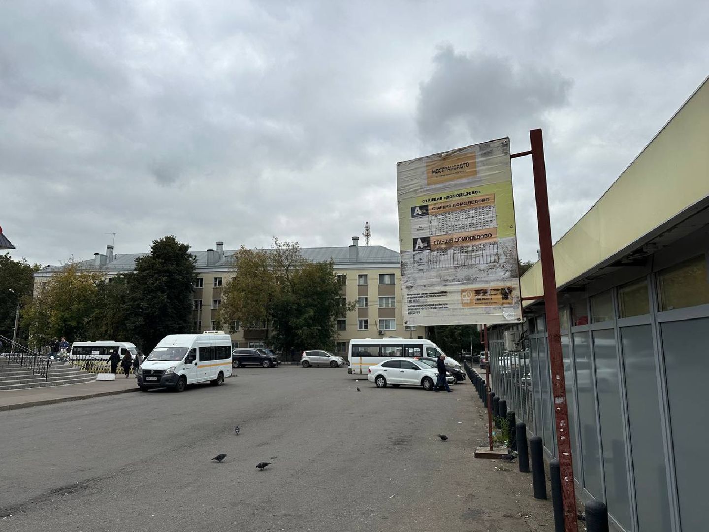 транспорт, автобусы, домодедово,