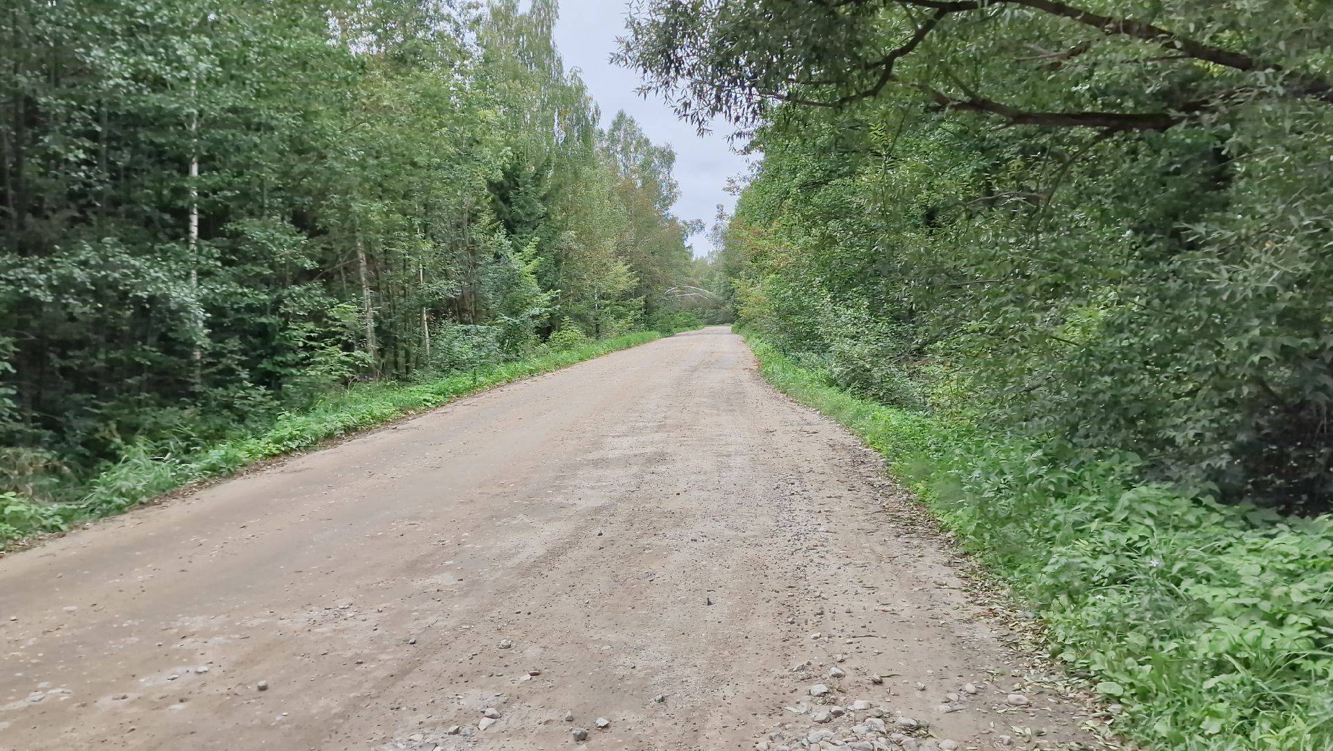 Освещениедороги, Дубна, Новыефонари,