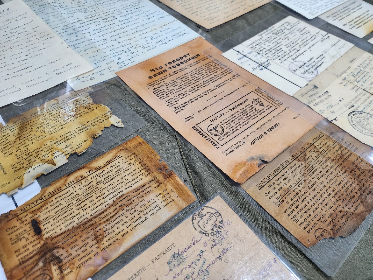 электросталь , память, жители, общество, выставка, великая отечественная война,